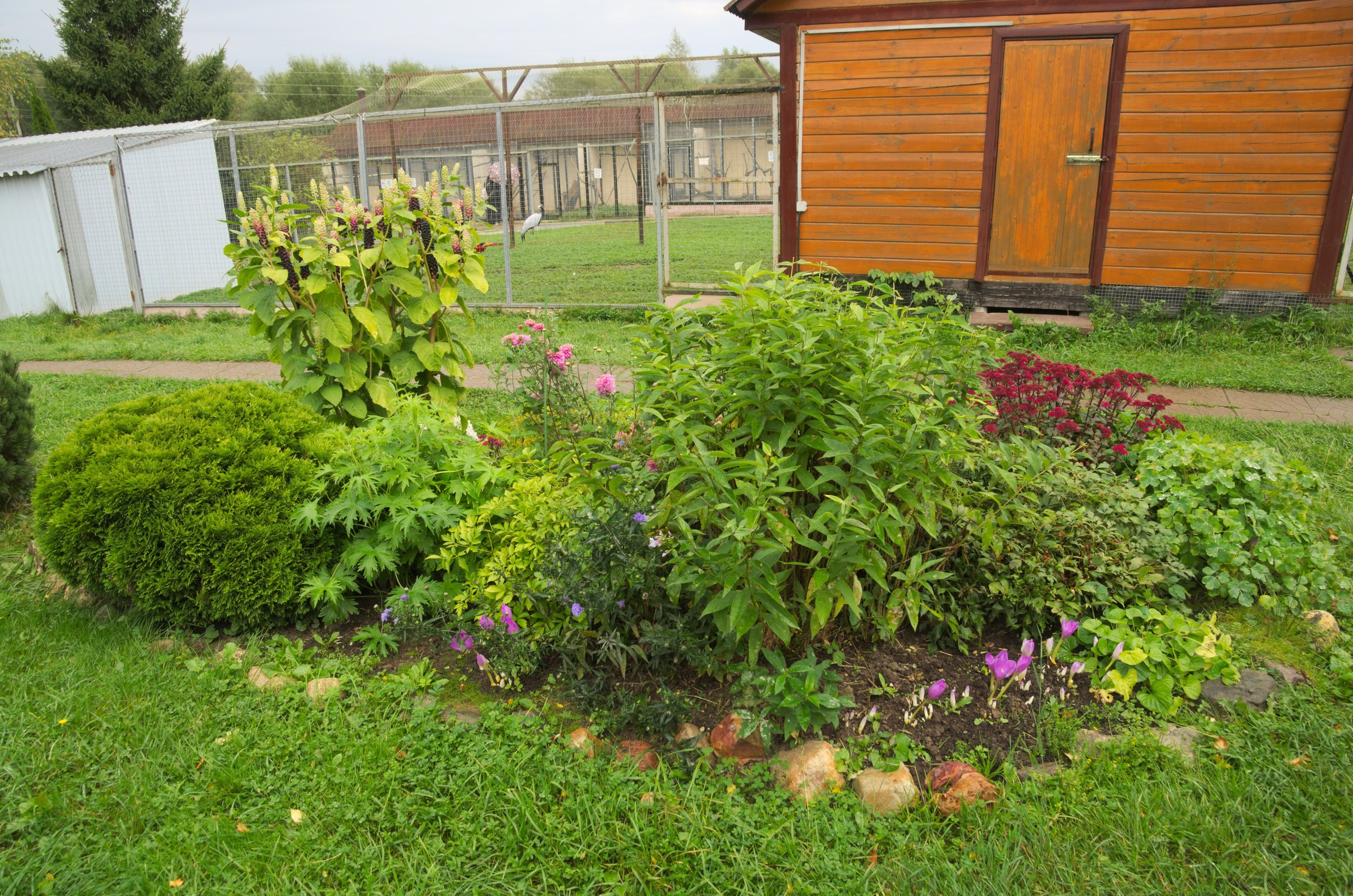 Боровск и парк птиц «Воробьи» | 17.09.2017. Галерея Фантим