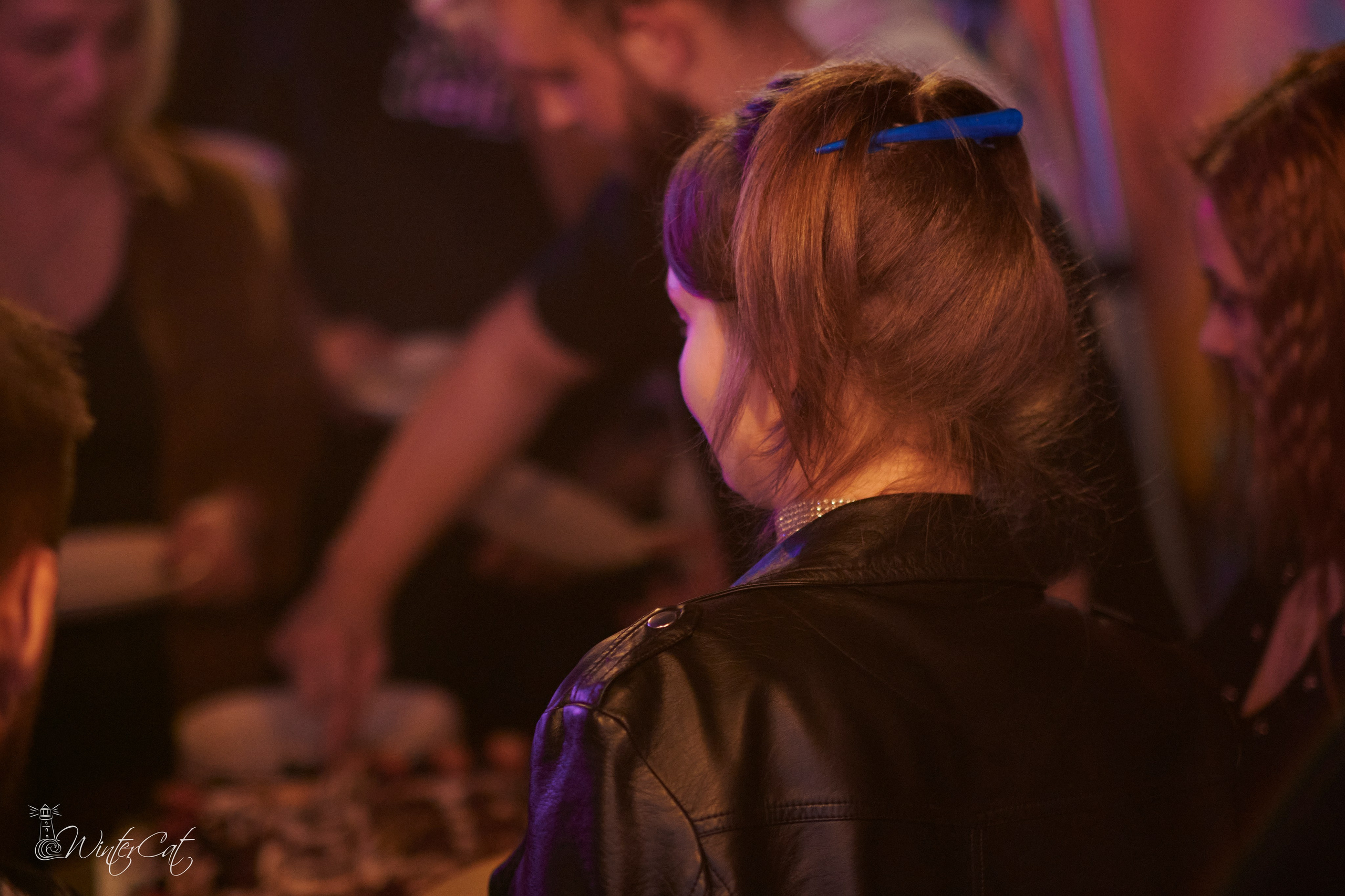 День Рождения Честер Четыре Года. Портретный и репортажный фотограф в Магадане Андрей Нефедов WinterCatPhoto