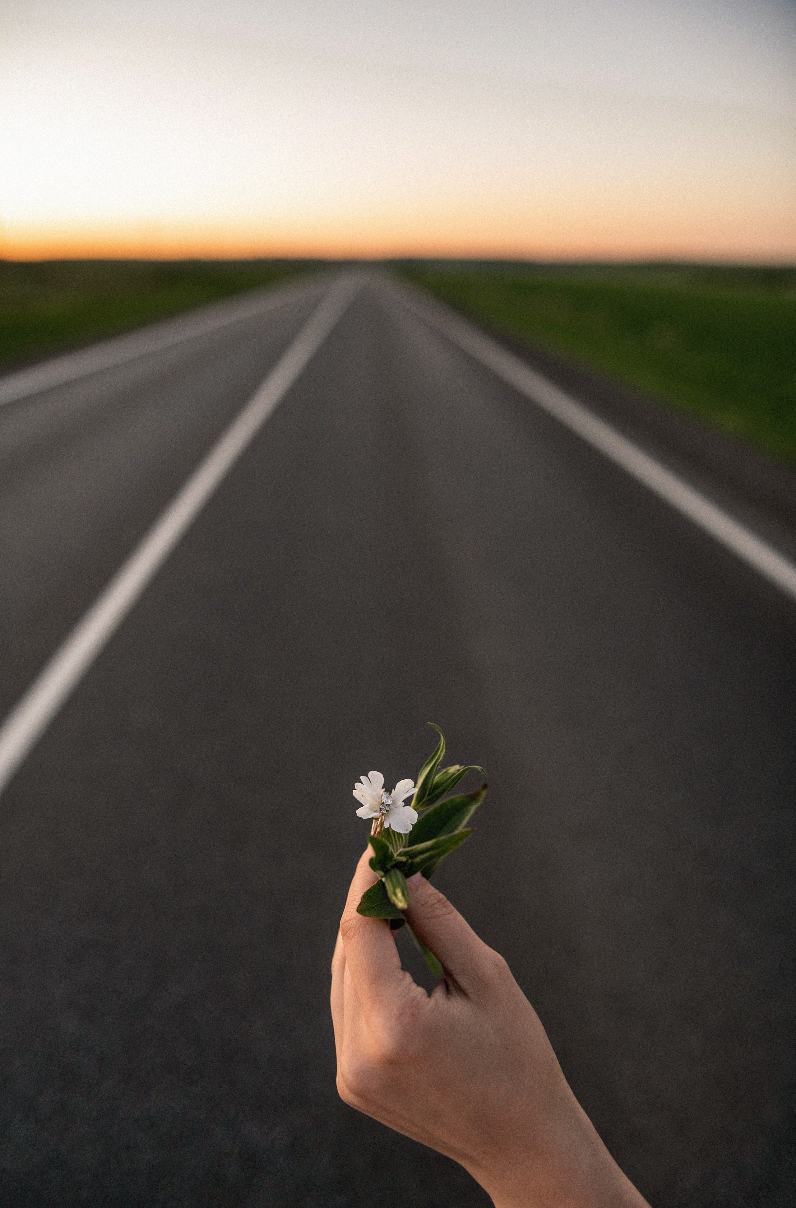 Маша и Илья. Свадебный и семейный фотограф Нижний Новгород и Москва Павел Градобоев