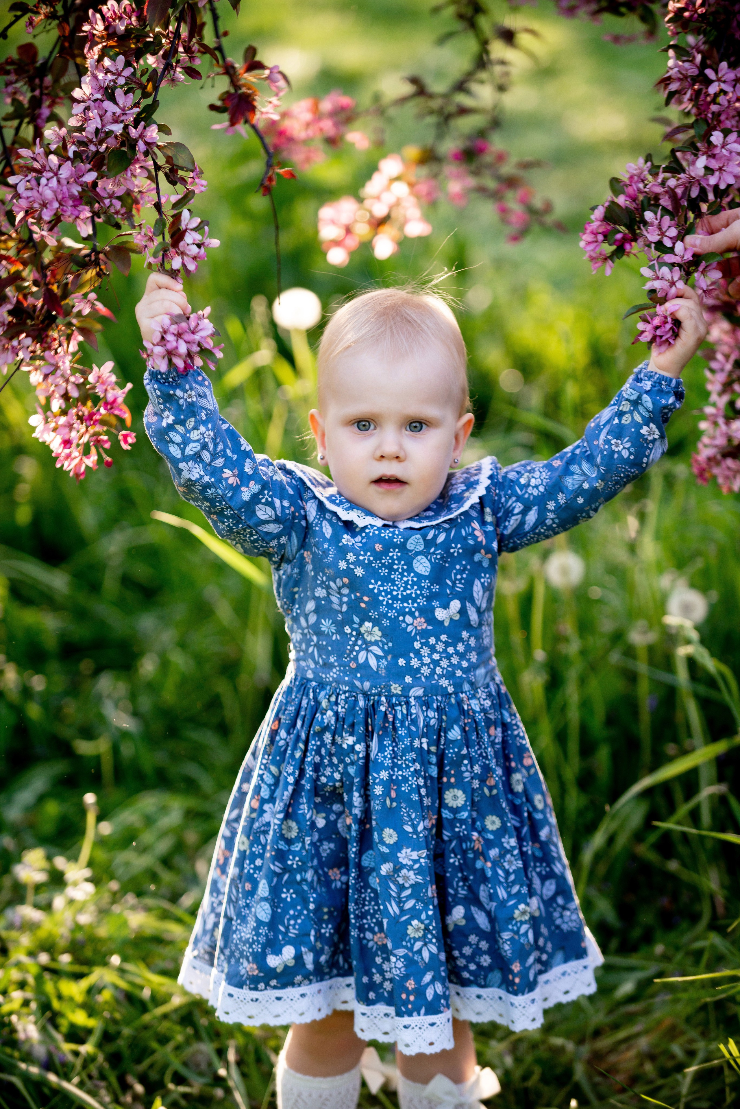 Ника и родители в розовых яблонях. Портретный, семейный и свадебный фотограф в Санкт-Петербурге и в Пушкине Ширяев Денис