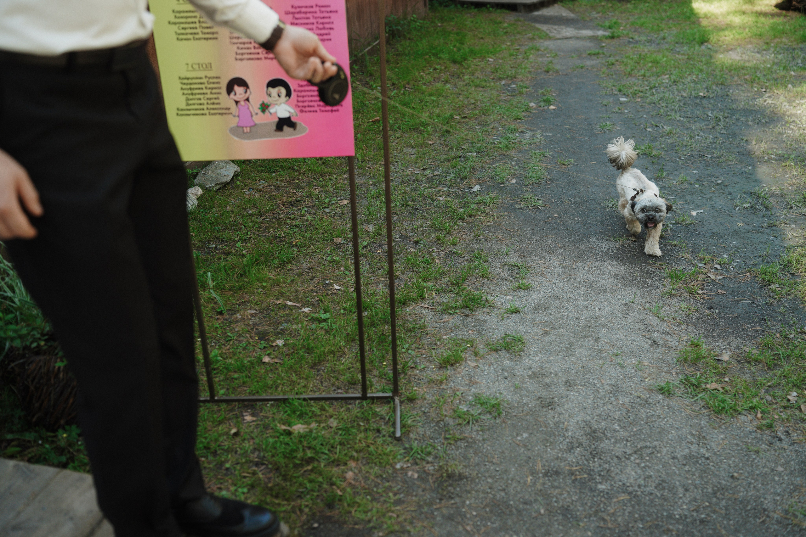 Влад и Даша. Организатор мероприятий в Абакане I Ольга Петухова