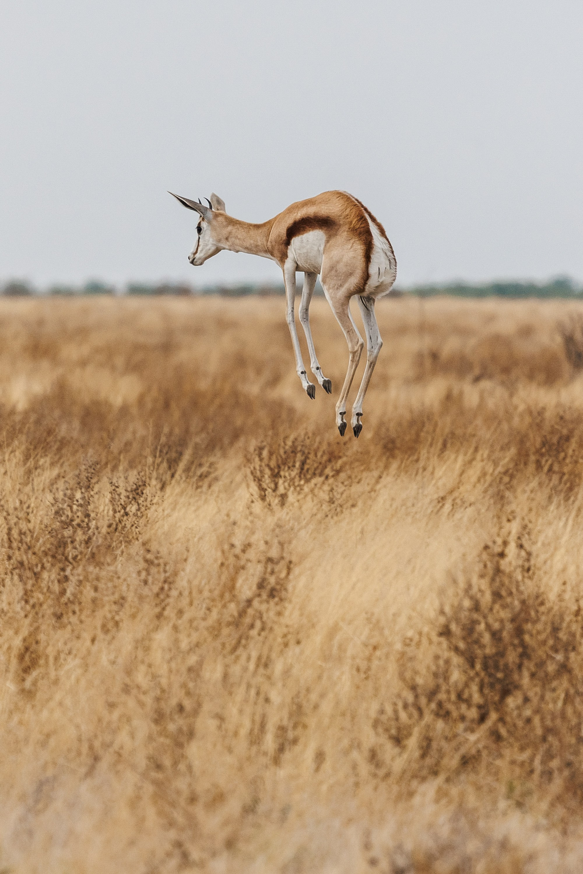 НАМИБИЯ. Роадтрип