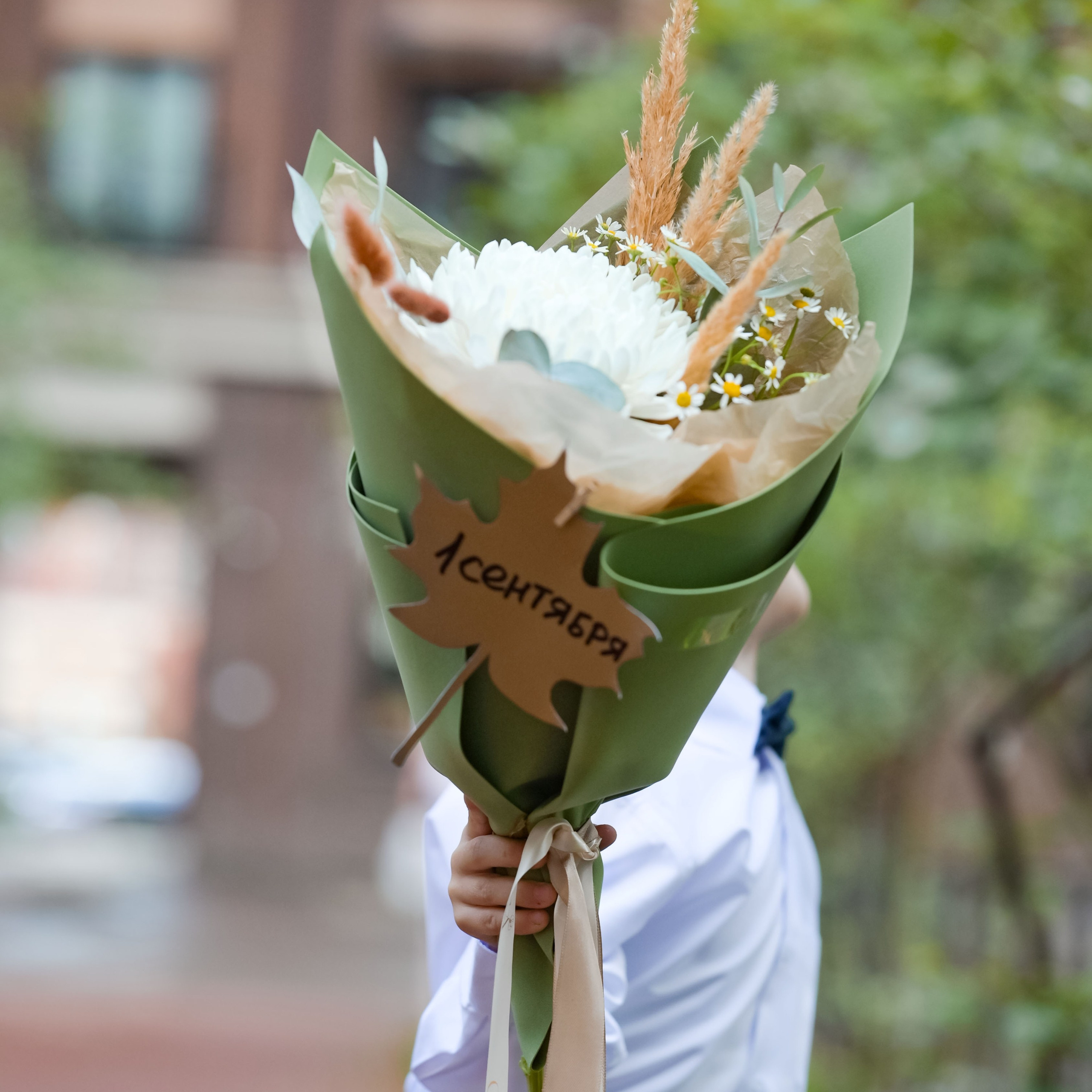 . ZDARONOKIA Репортажный фотограф