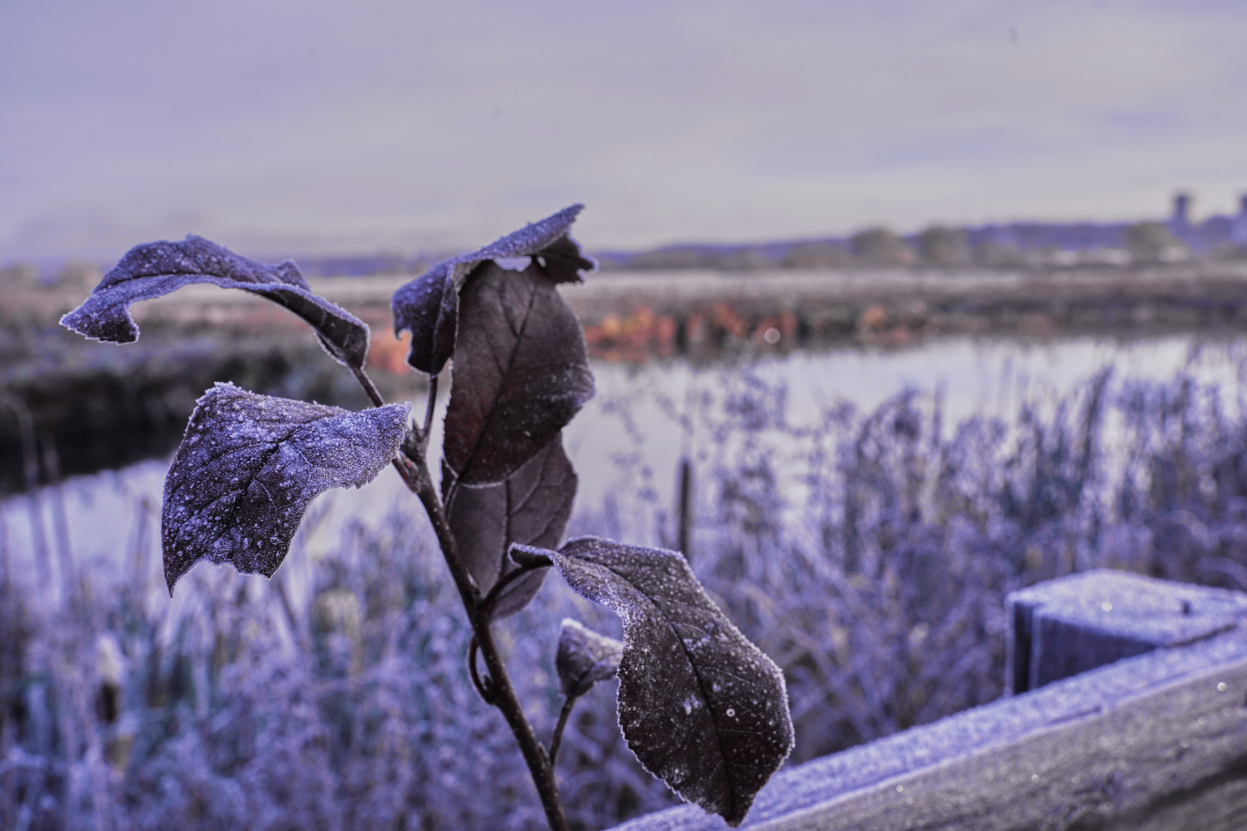 Бекстейдж съемки сериала. Krasnopoliophoto