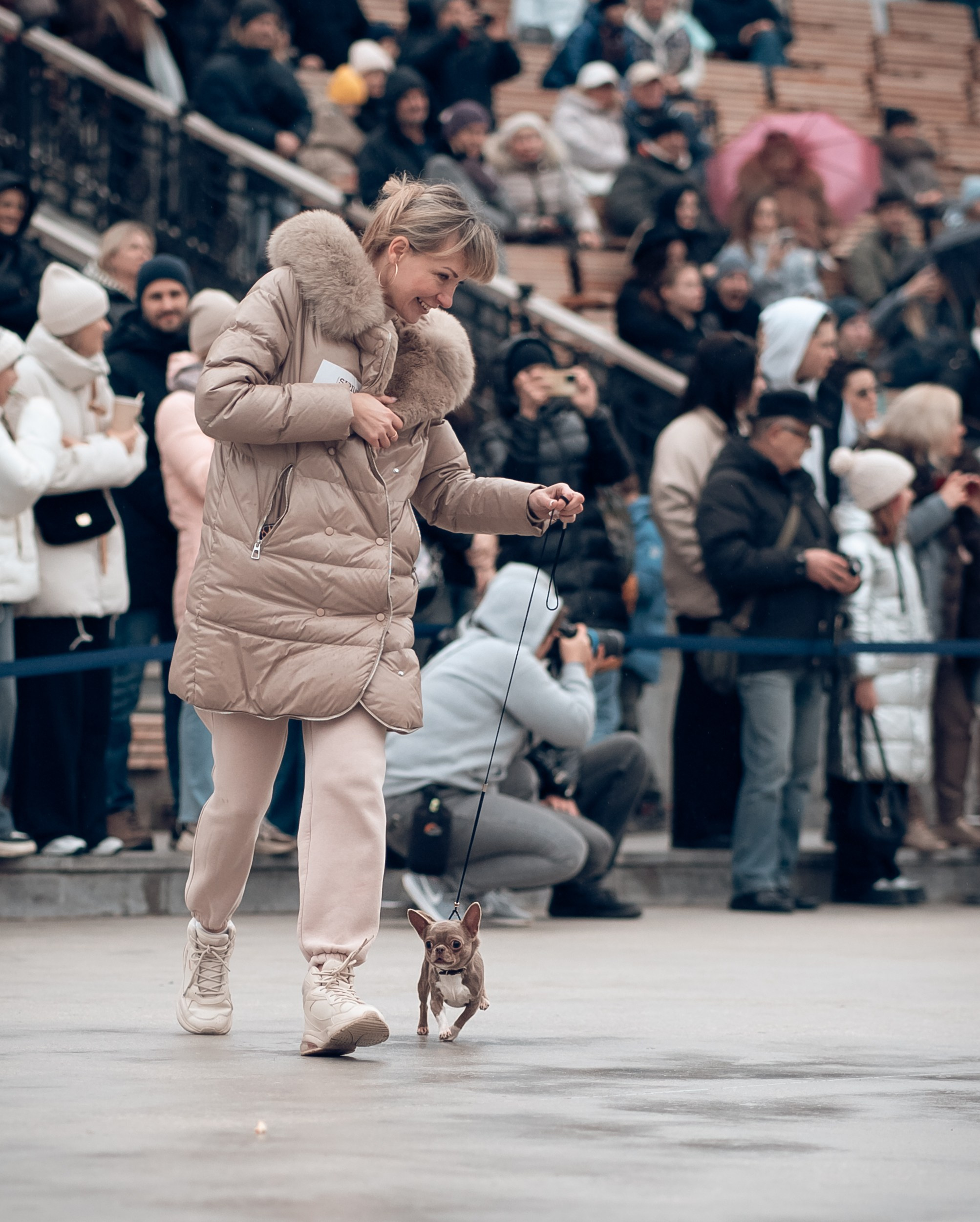 Благотворительная выставка собак в Новом Херсонесе г. Севастополь. Церковный фотограф Севастополь