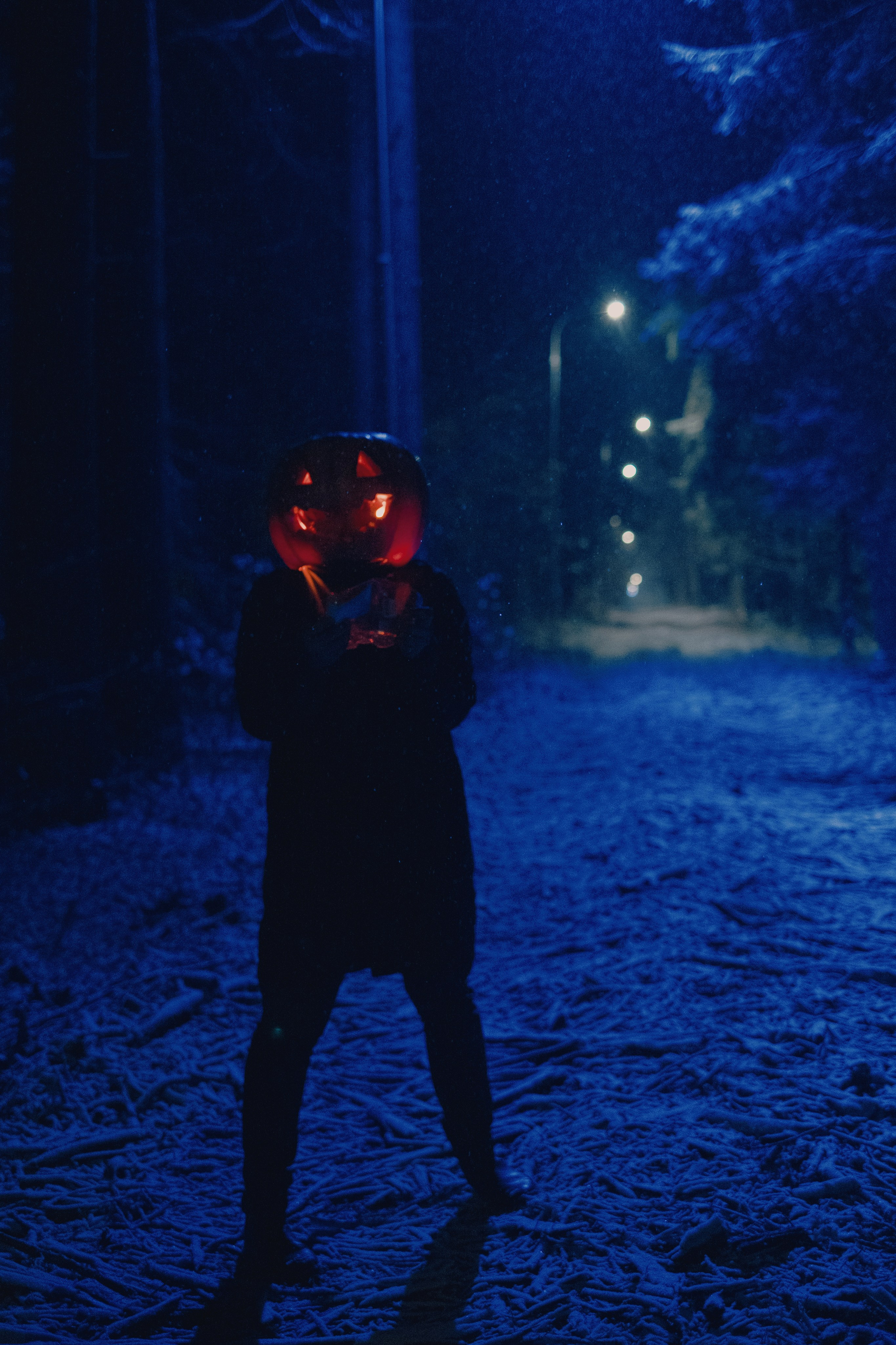 «Избранник тыквенной грядки». Фотограф (Москва, Мытищи)— Комова Анастасия