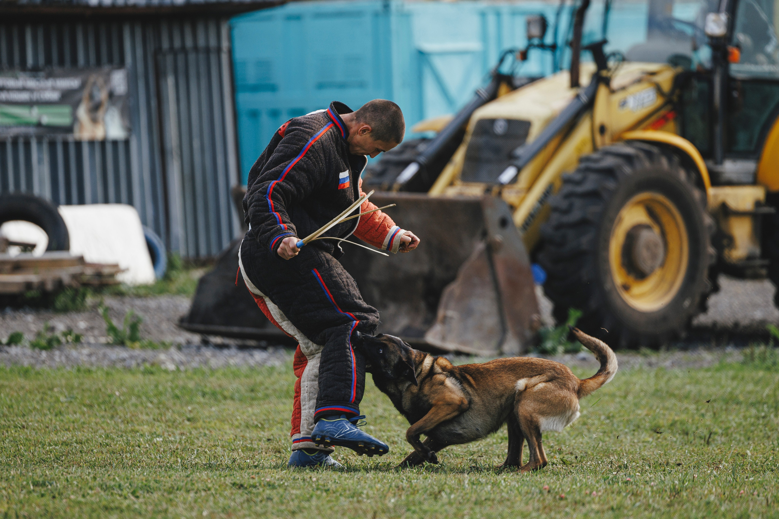 08.08.25-10.08.25 ЧР по мондьорингу г. Вологда. Фотограф-анималист Анна Маринич