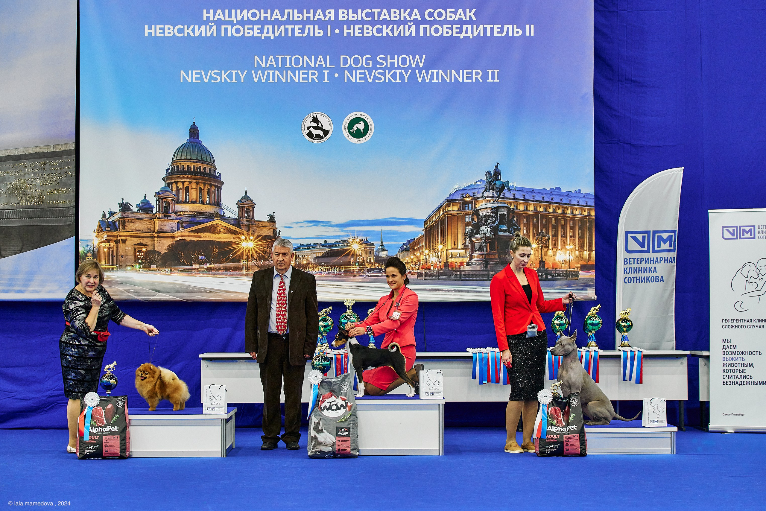 РЕЙТИНГОВАЯ ВЫСТАВКА СОБАК ВСЕХ ПОРОД С ОСОБЫМ СТАТУСОМ"НЕВСКИЙ ПОБЕДИТЕЛЬ-2024-2"