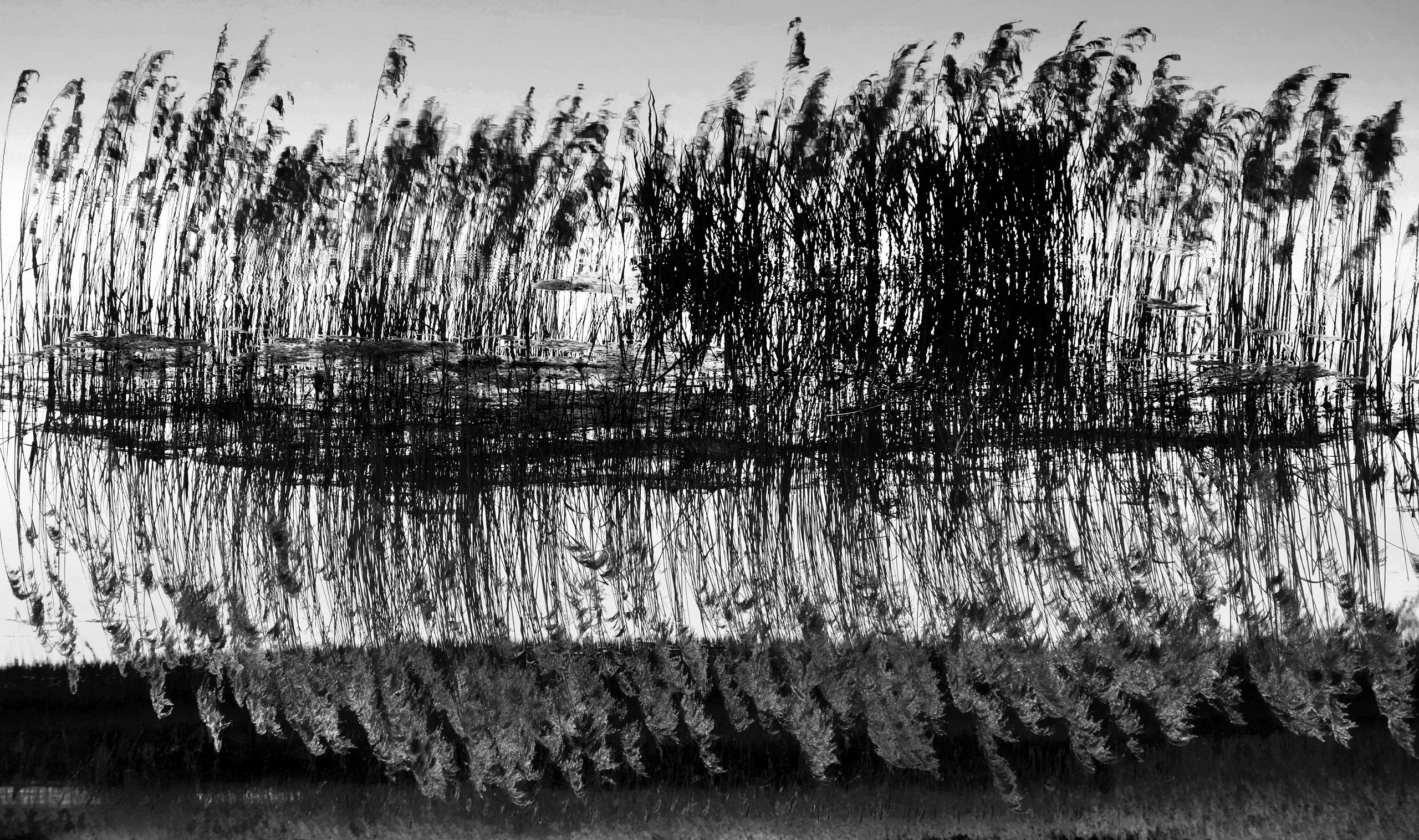 У воды. Главная