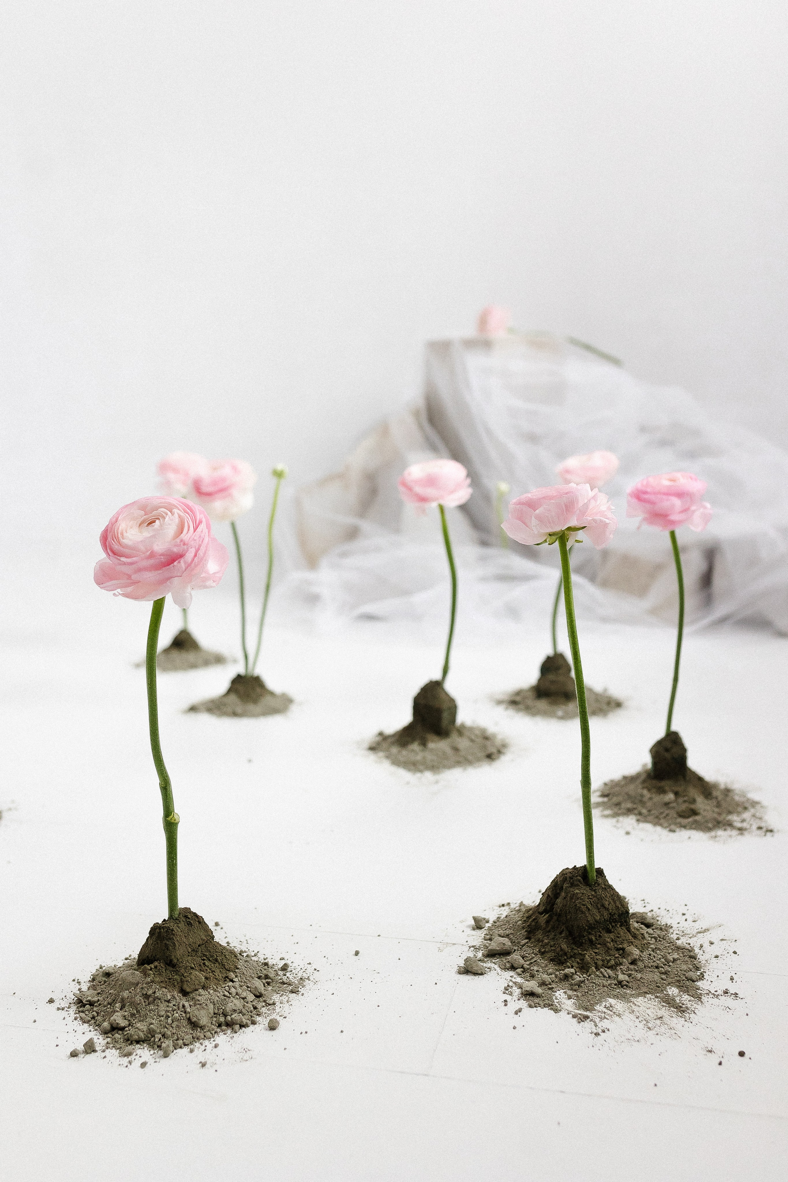 Для феи цветов. Семейный фотограф в Нижнем Новгороде Доронина Юлия