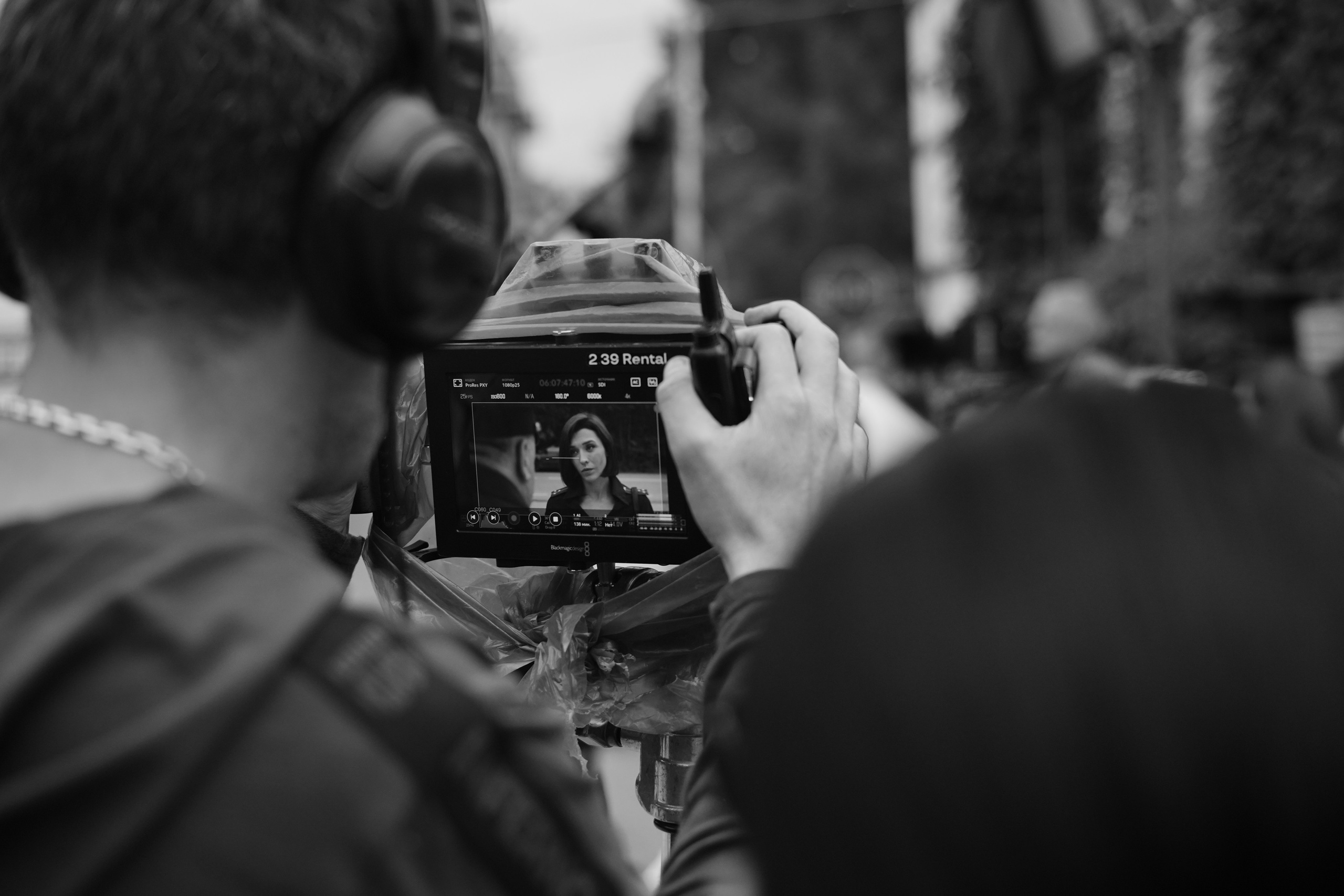 Галерея. Beardy Pix