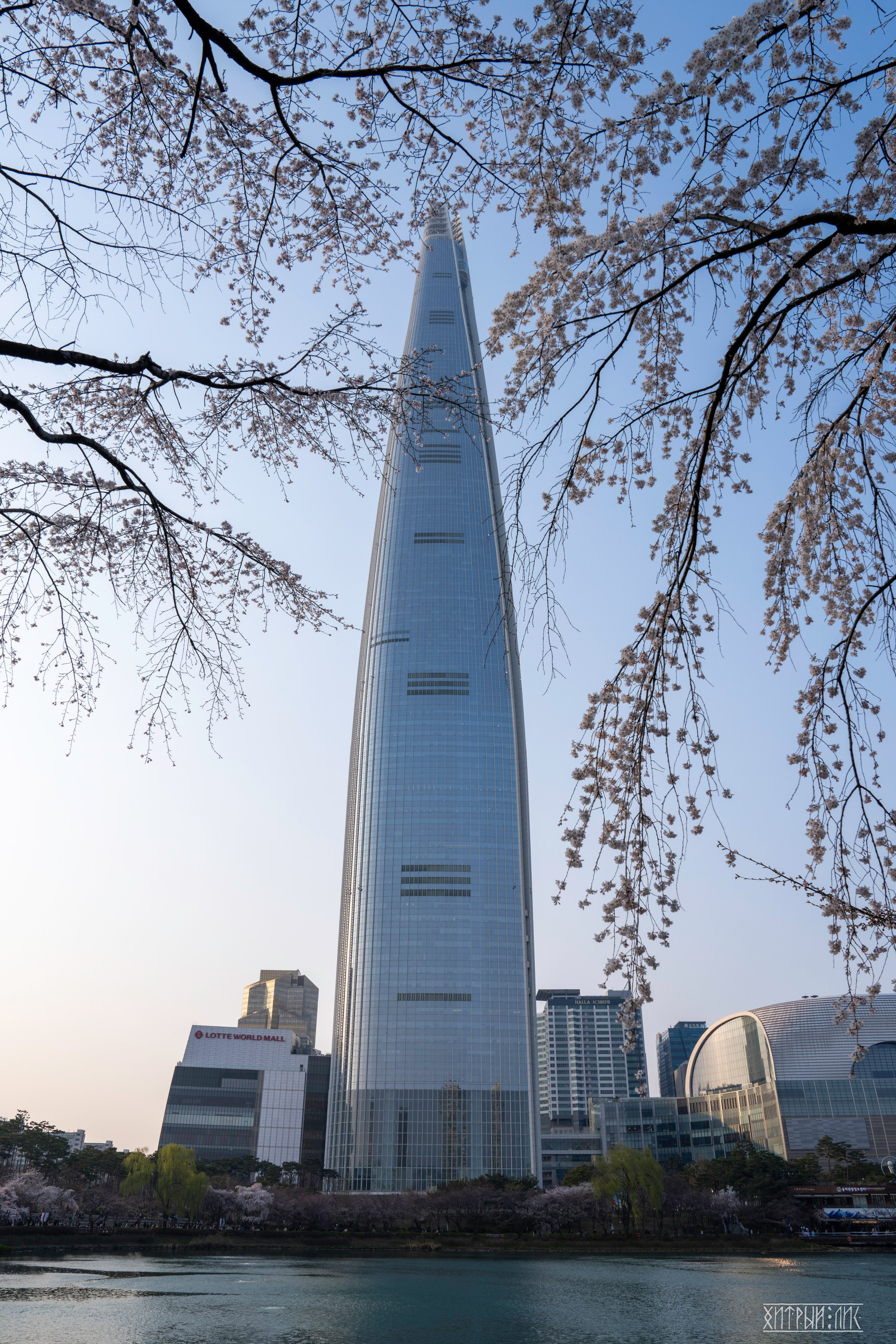 Южная Корея. Фотограф-путешественник Самойлов Максим «Sly Fox»