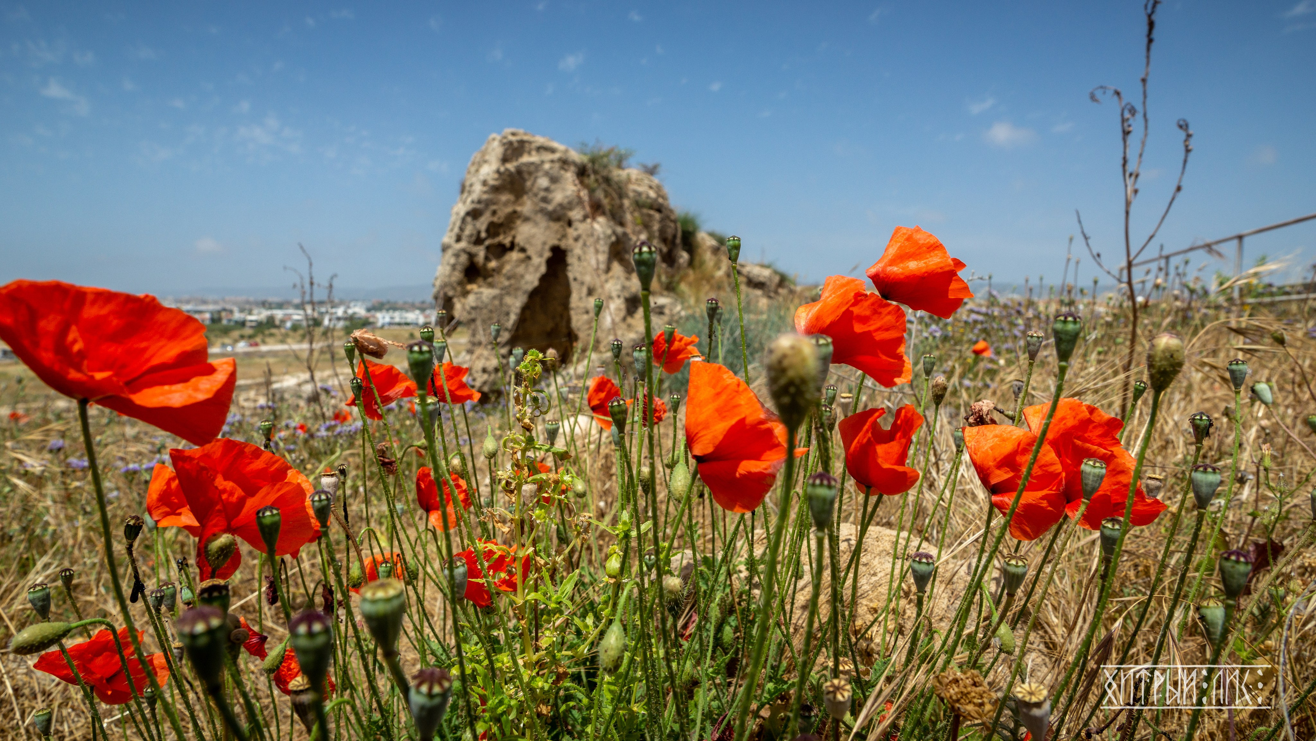 Кипр. Фотограф-путешественник Самойлов Максим «Sly Fox»