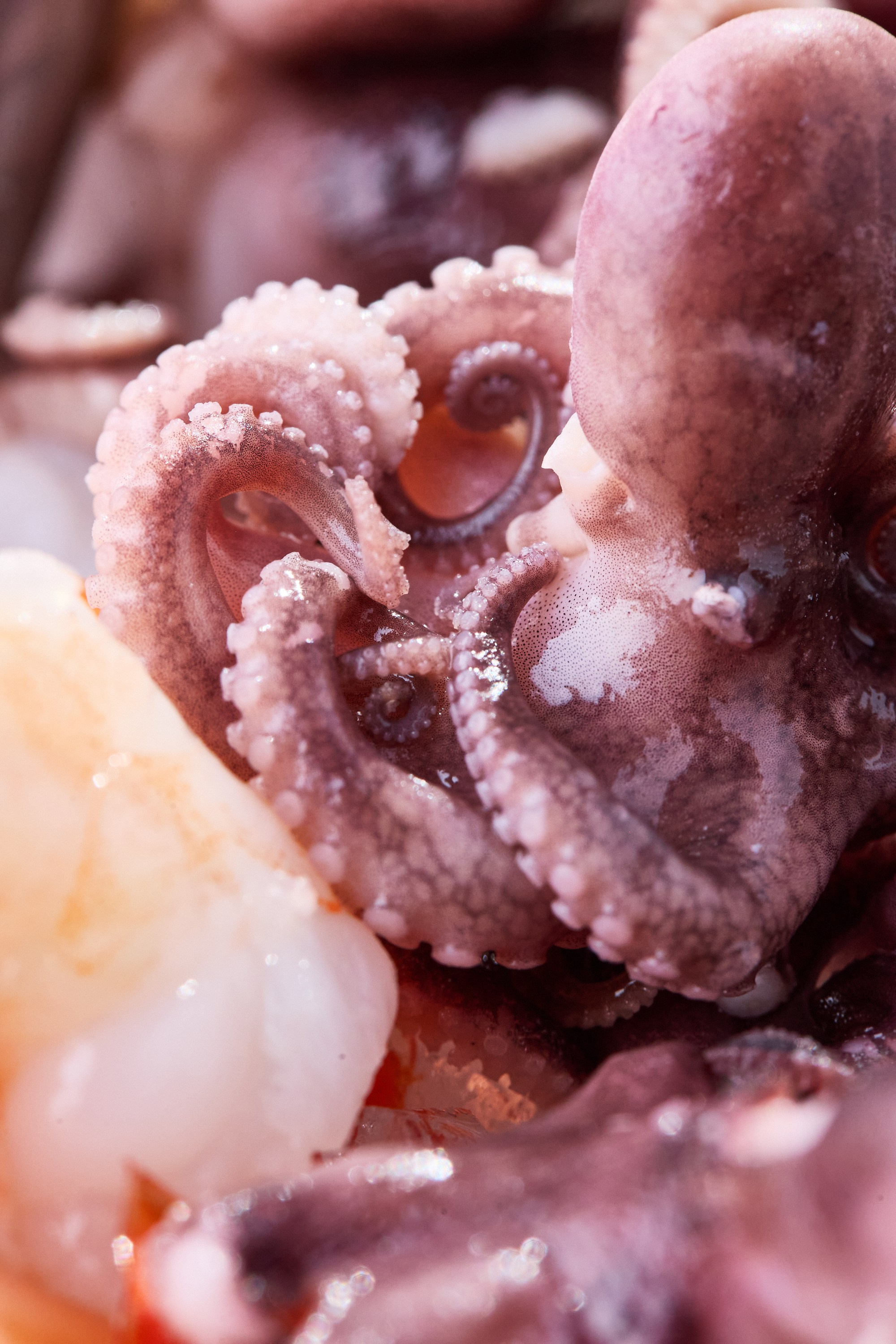 РЕСТОРАНЫ. Контент фотограф в Москве Ник Фрост