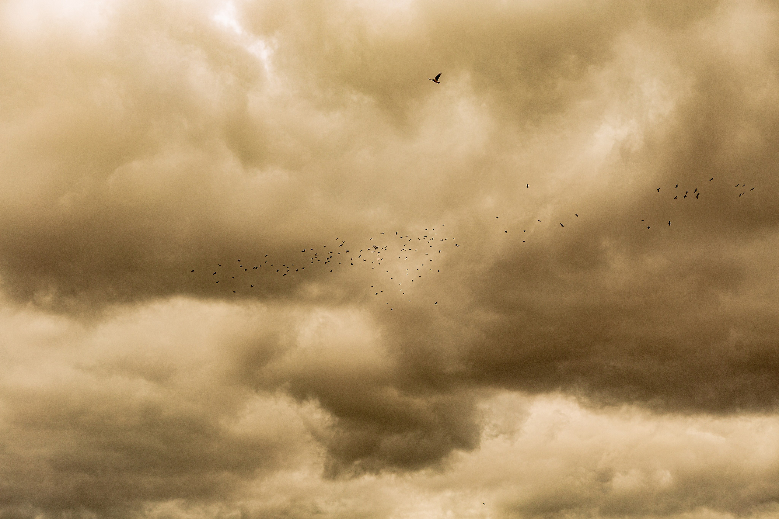 Сергей | Поле. Репортажный фотограф Екатеринбург | Яркий, качественный репортаж | Концерты, клубы, репортаж, праздники, корпоративы