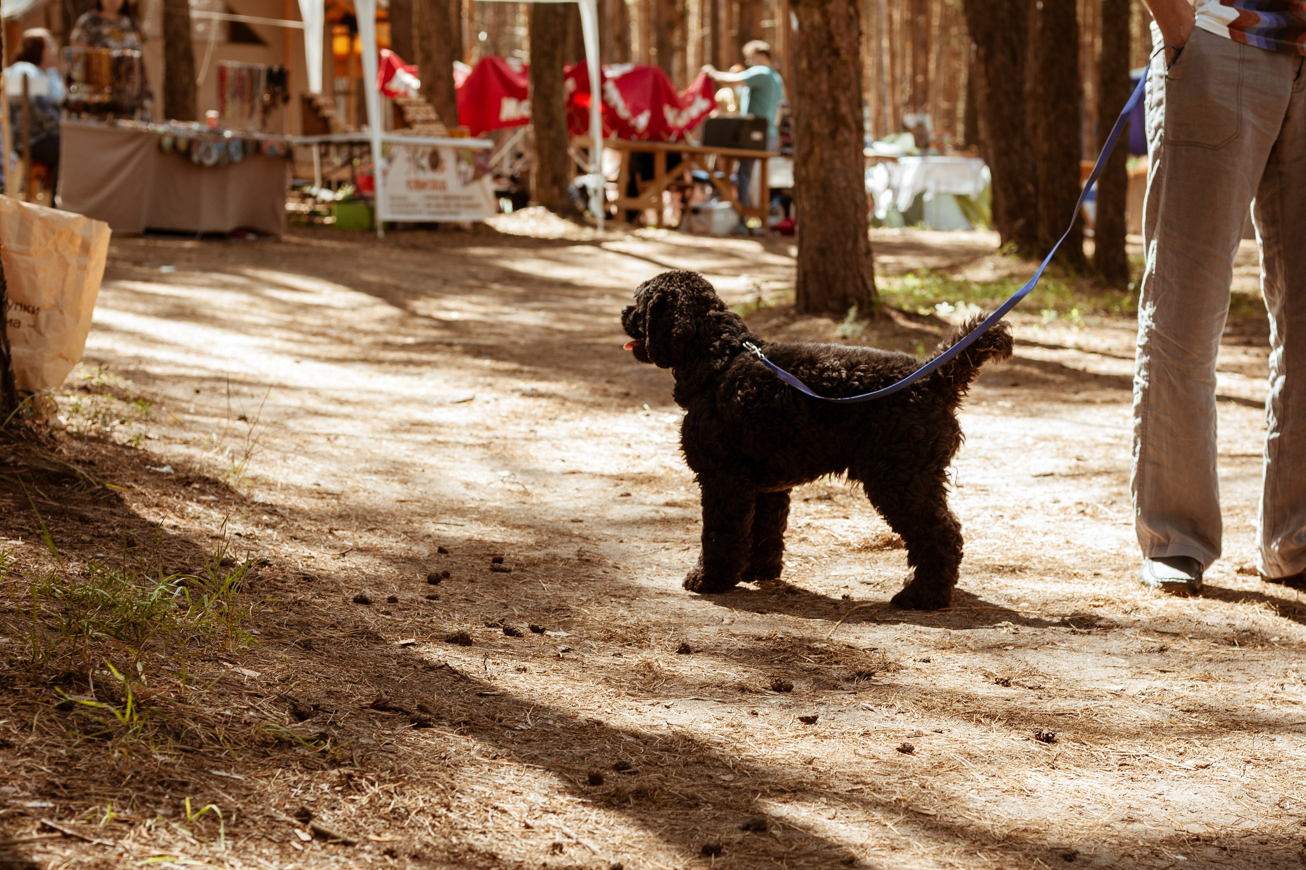 Чакра 2024. Фотограф Старый Оскол Мавлыга Мария