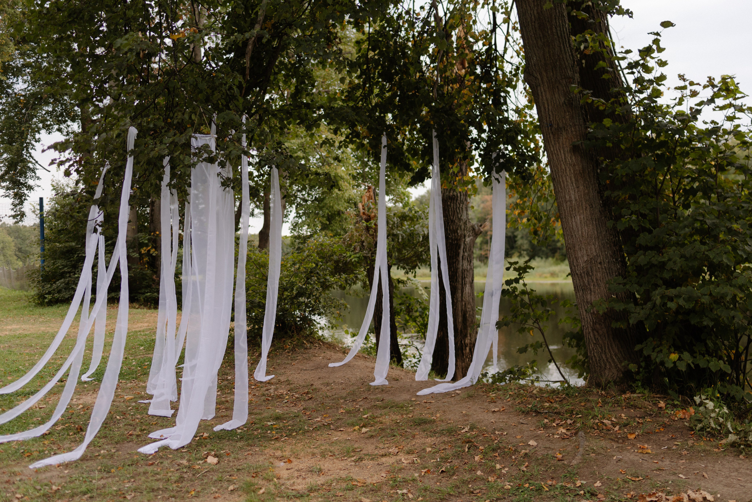 Екатерина и Сергей. Фотограф и Видеограф во Владимире