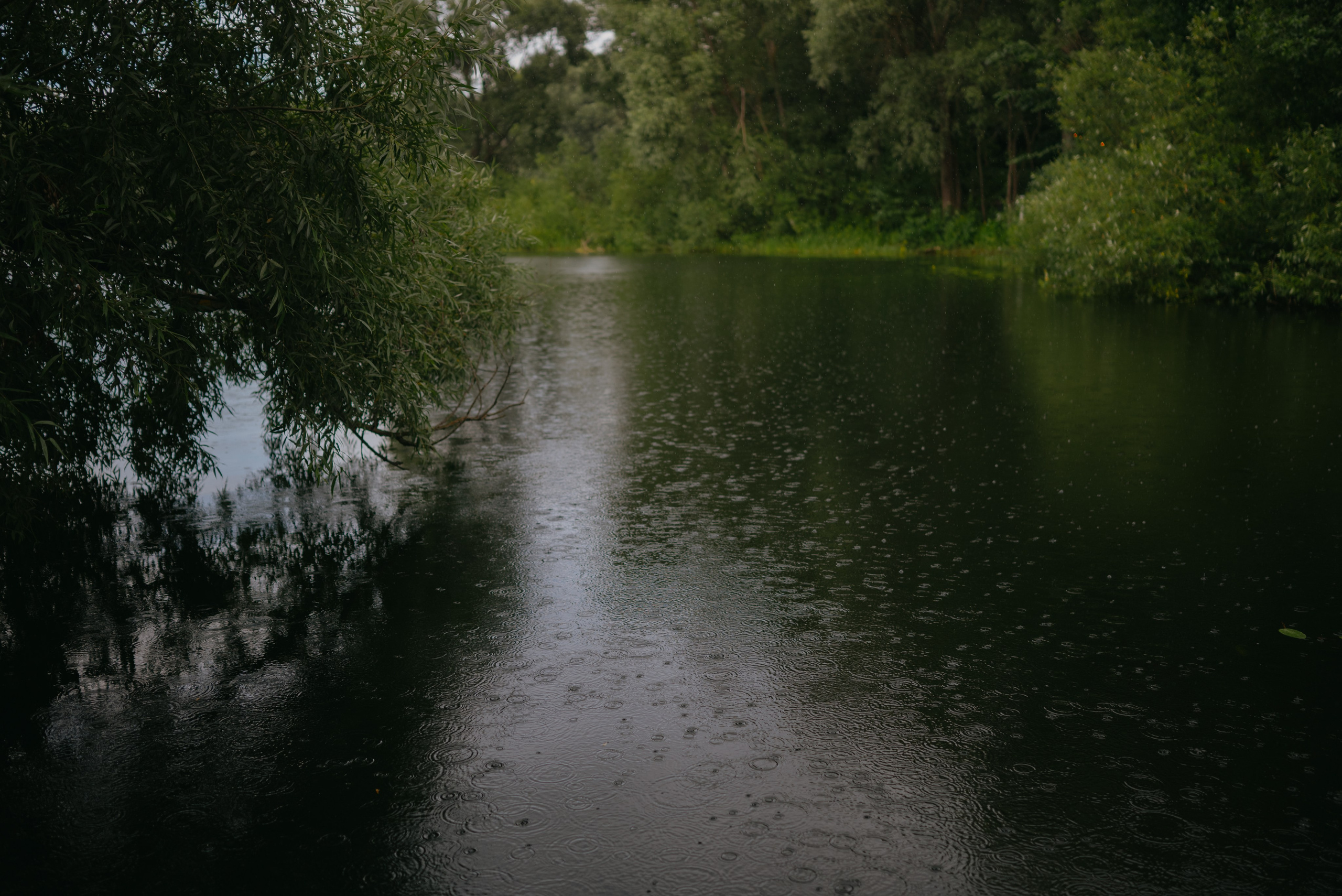 Игорь и Вероника. Свадебный фотограф Уфа Дарья Насырова