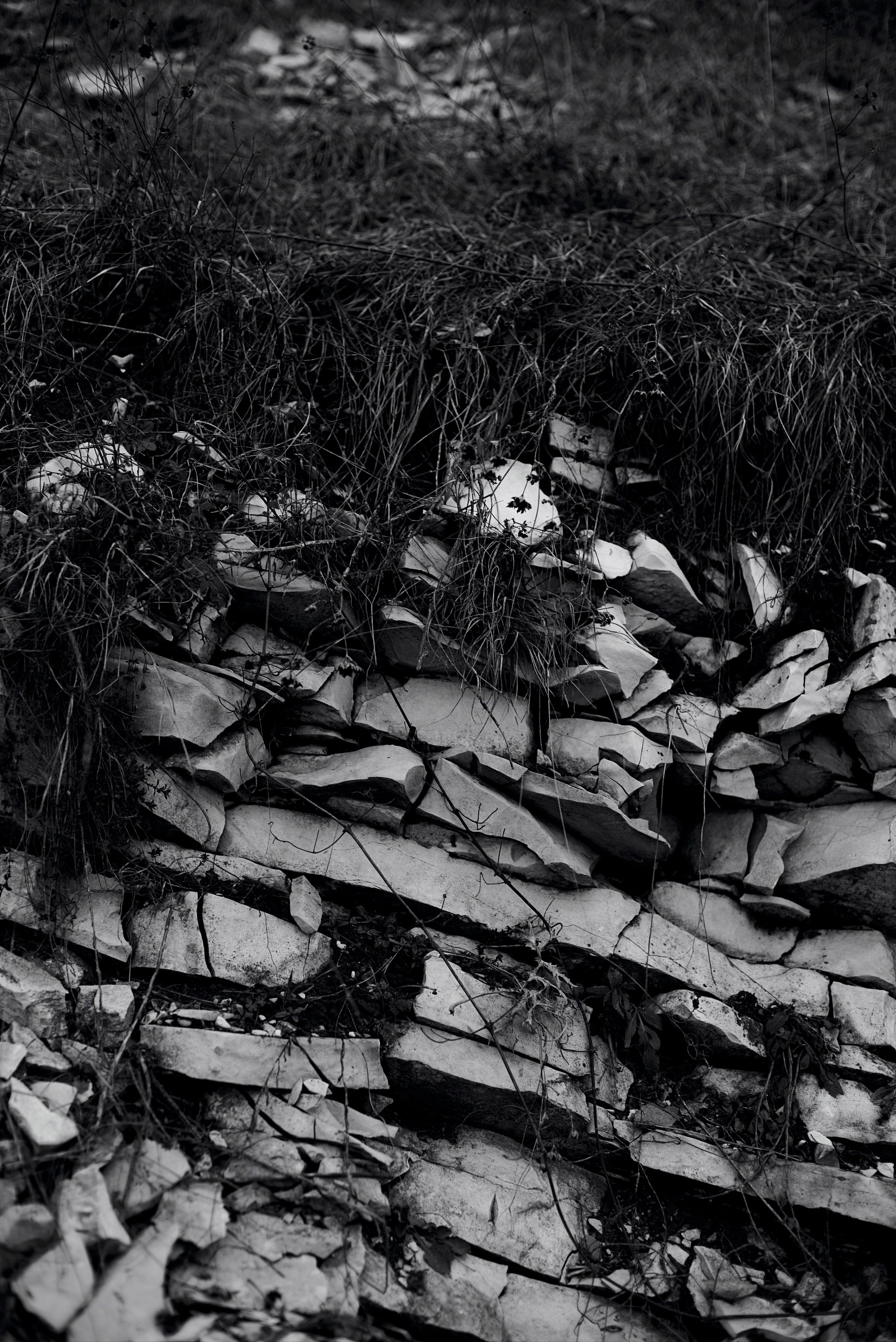 Дороги Ветра. Анастасия Либерти