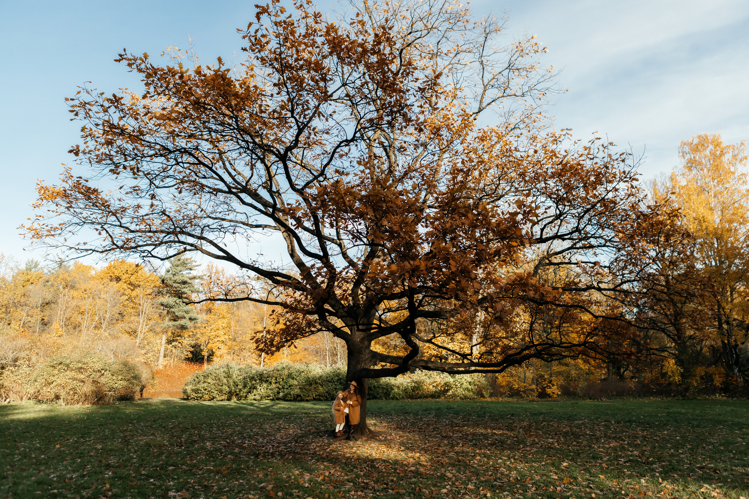 О & М. Семейный и свадебный фотограф в Петербурге Евгения и Николай Шевчук