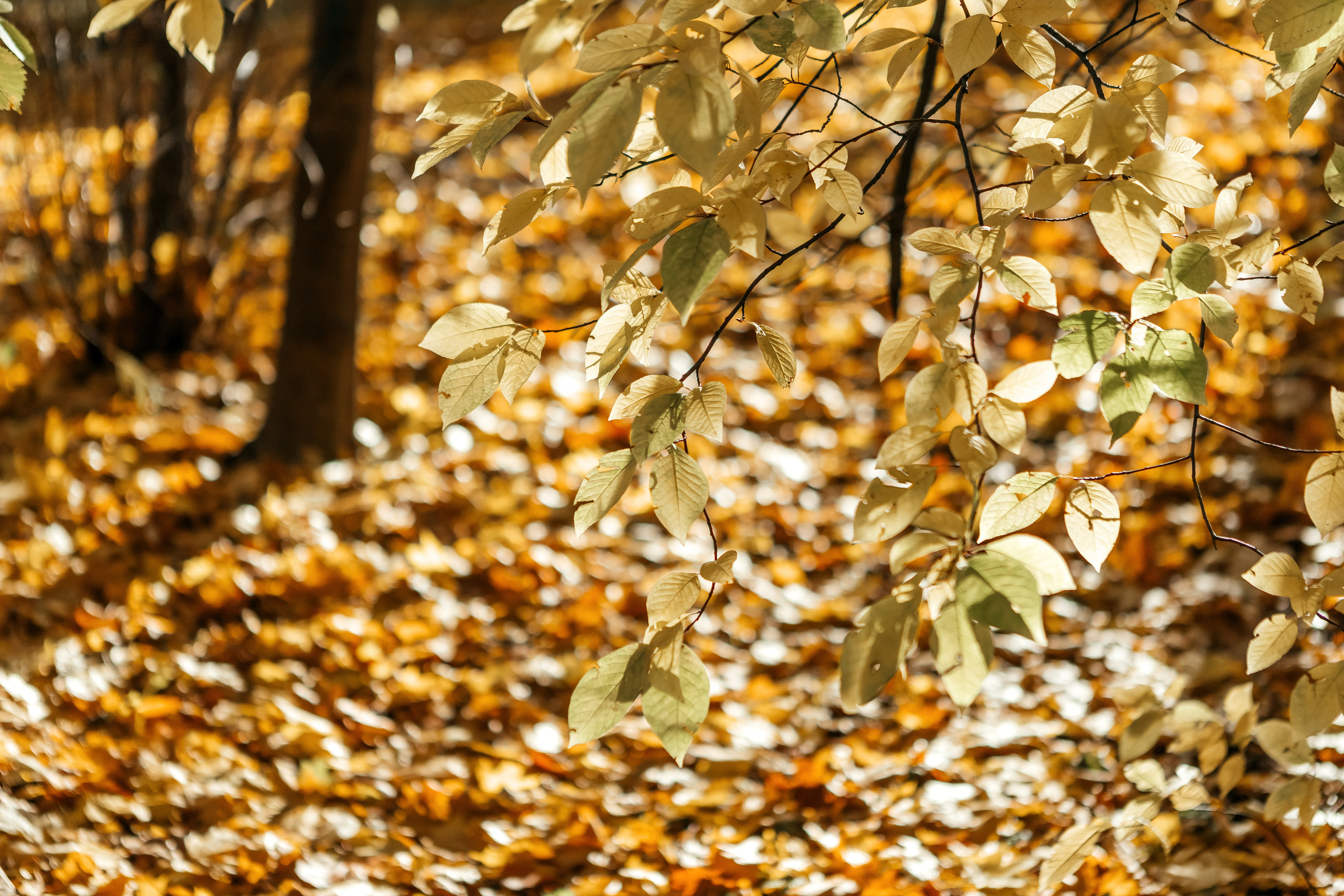 О & М. Семейный и свадебный фотограф в Петербурге Евгения и Николай Шевчук