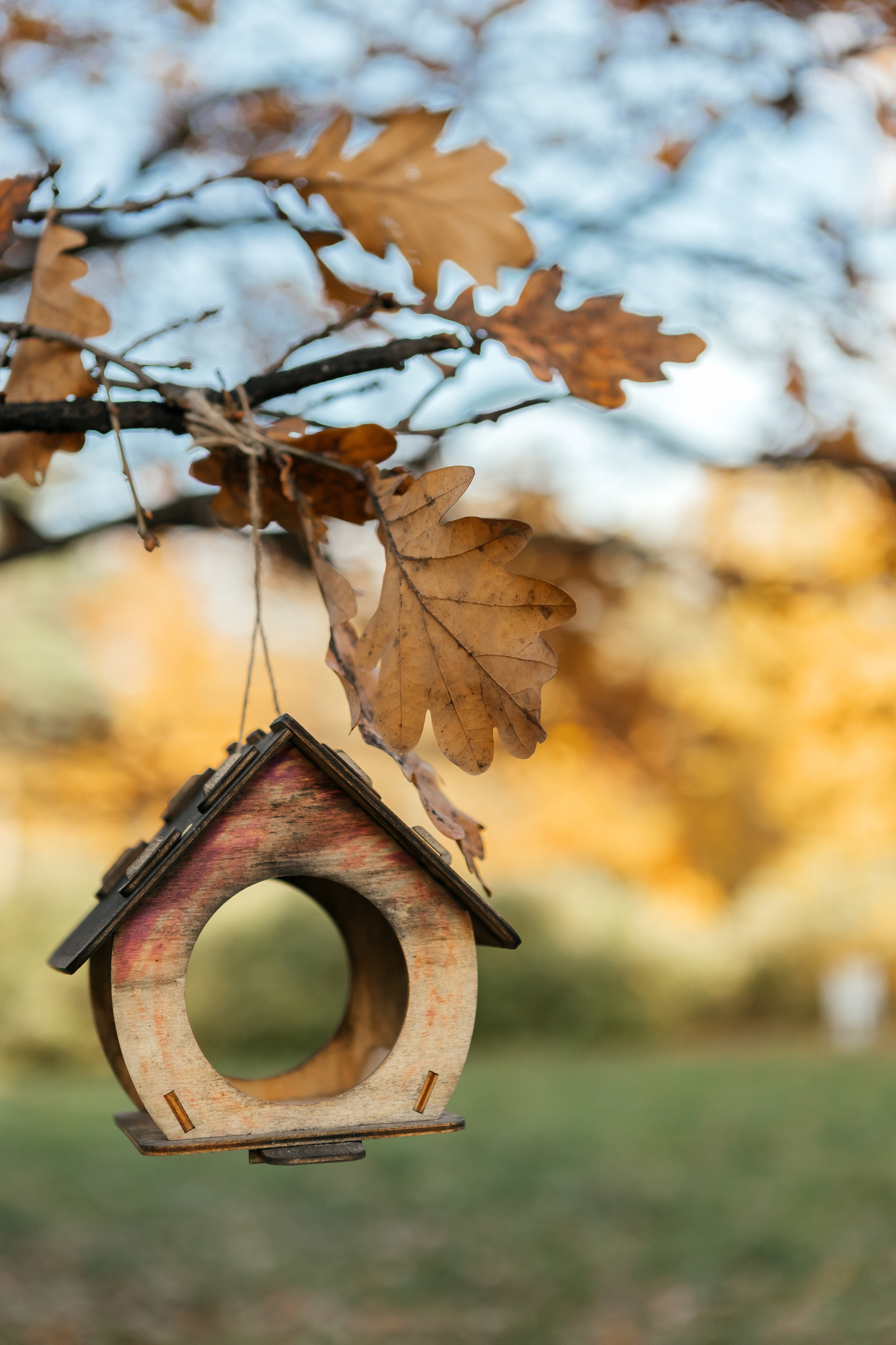 О & М. Семейный и свадебный фотограф в Петербурге Евгения и Николай Шевчук