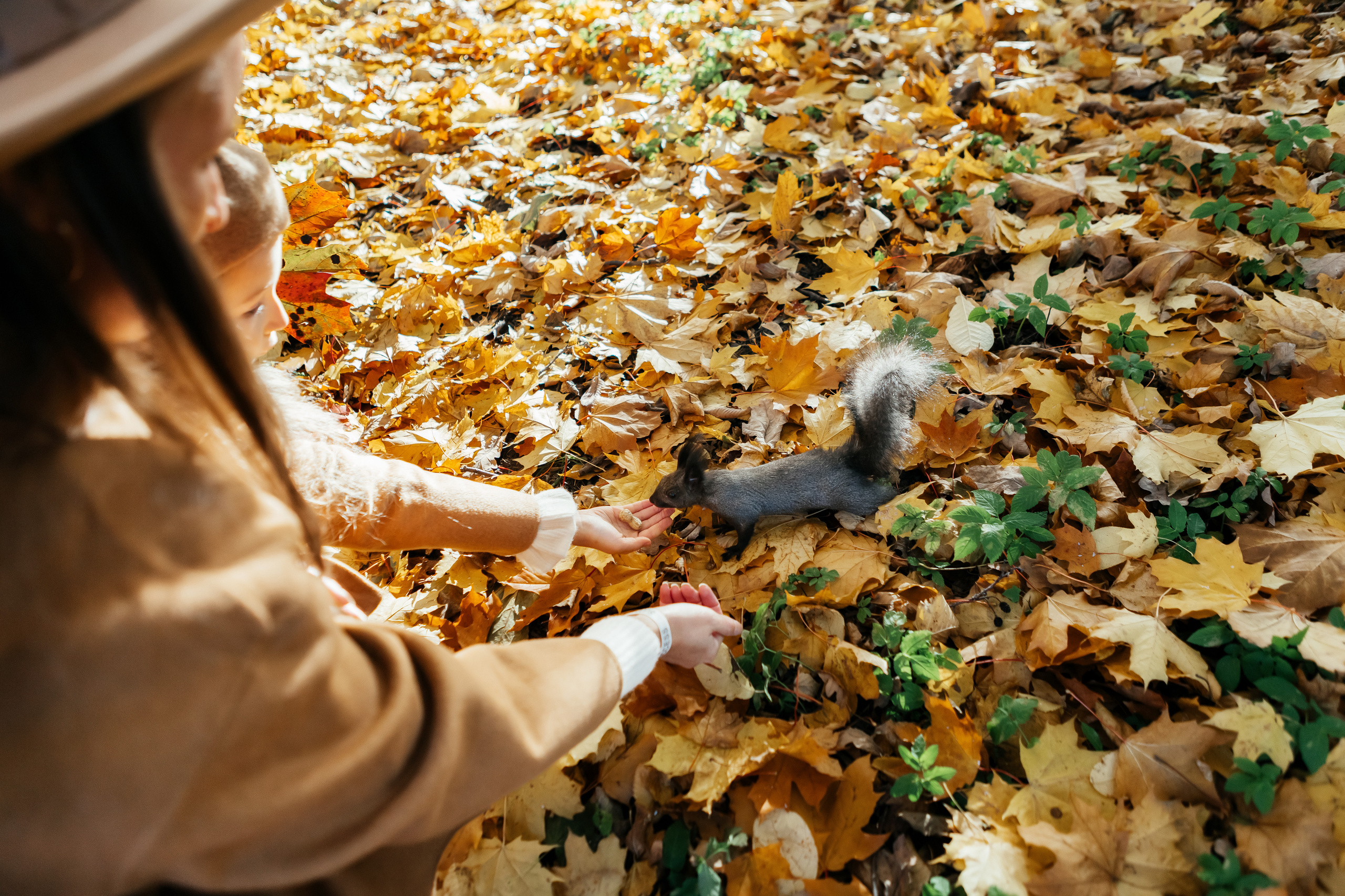 О & М. Семейный и свадебный фотограф в Петербурге Евгения и Николай Шевчук