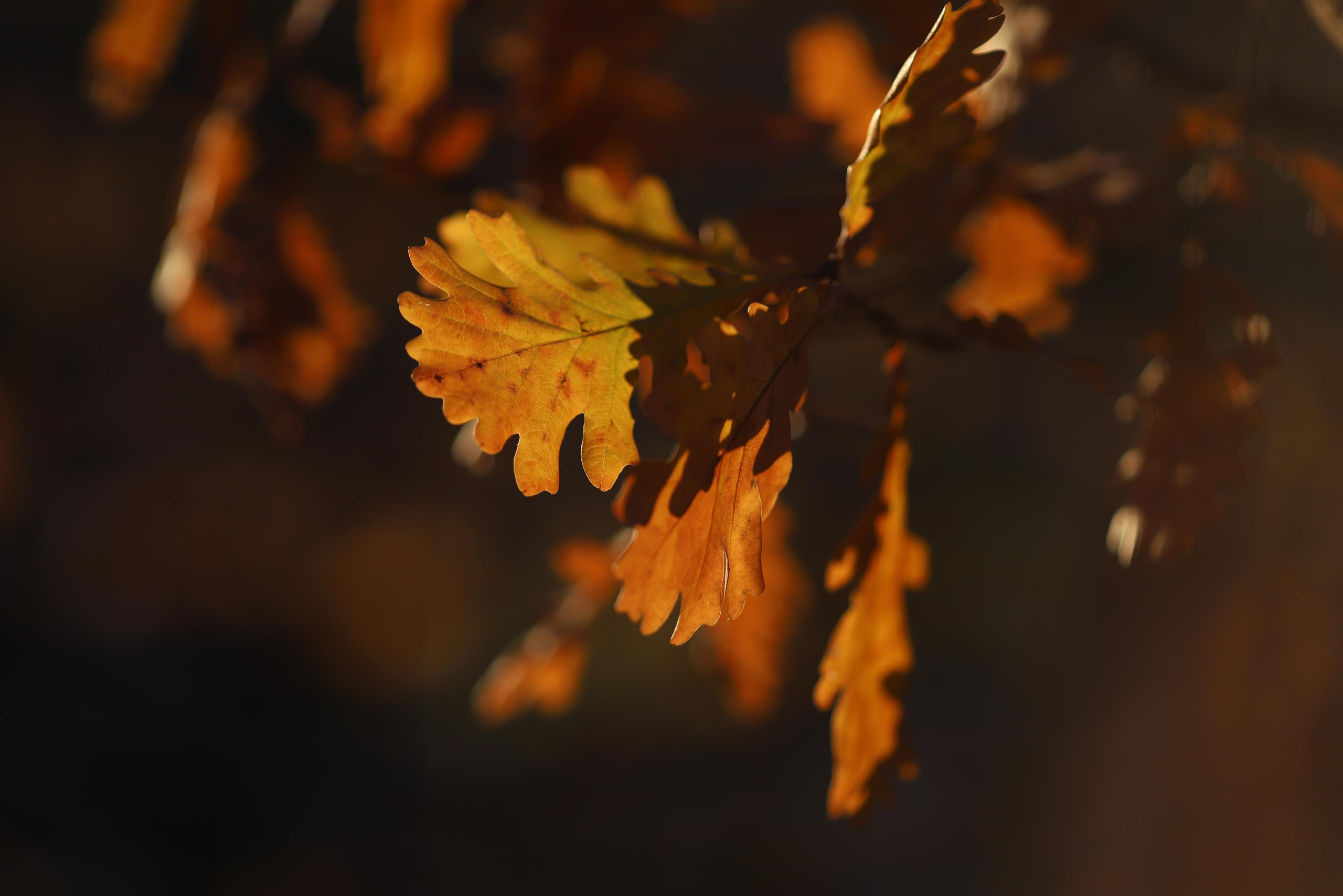 О & М. Семейный и свадебный фотограф в Петербурге Евгения и Николай Шевчук