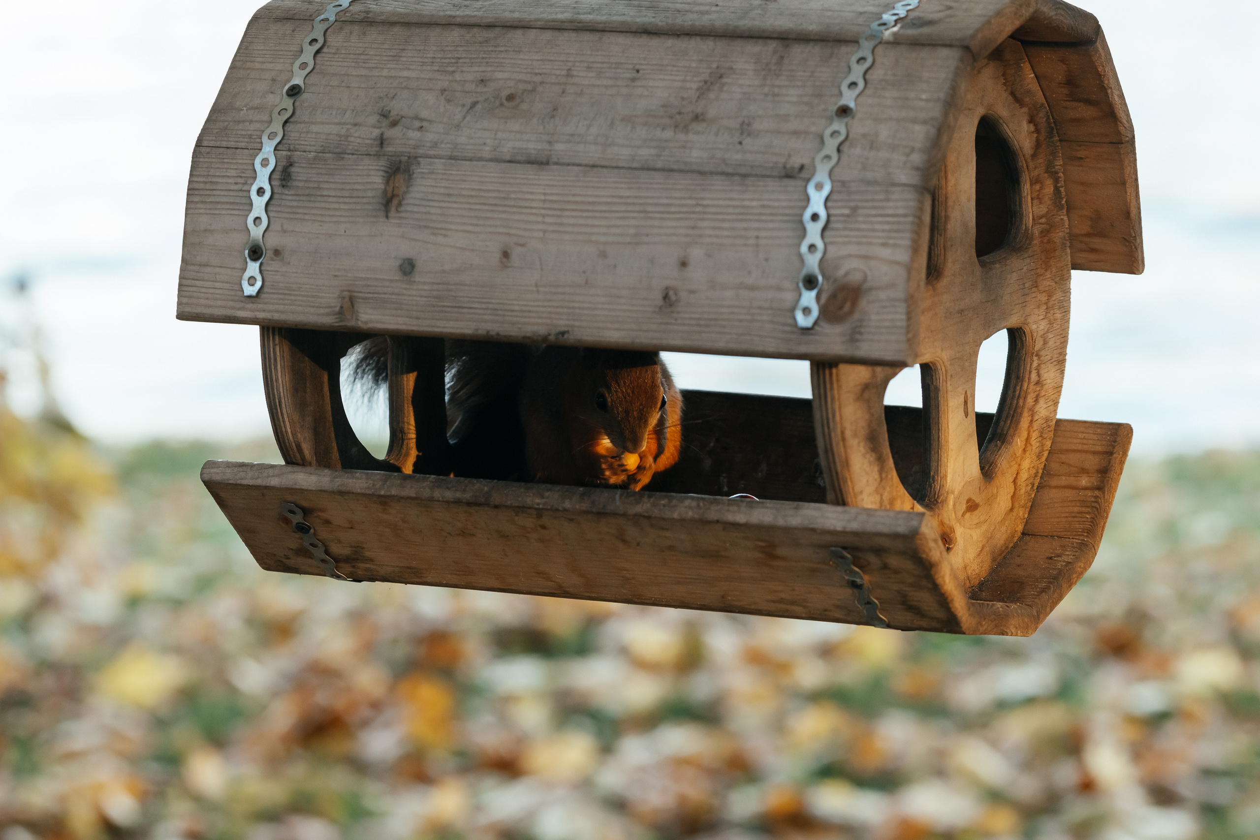 О & М. Семейный и свадебный фотограф в Петербурге Евгения и Николай Шевчук
