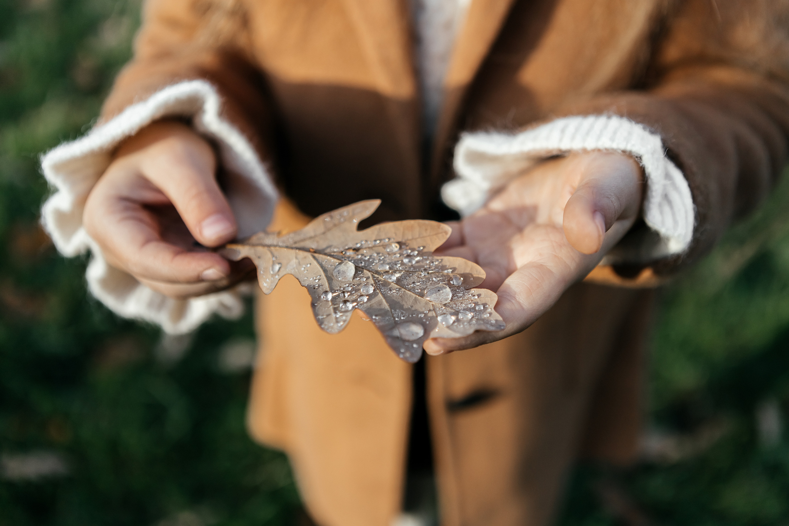 О & М. Семейный и свадебный фотограф в Петербурге Евгения и Николай Шевчук