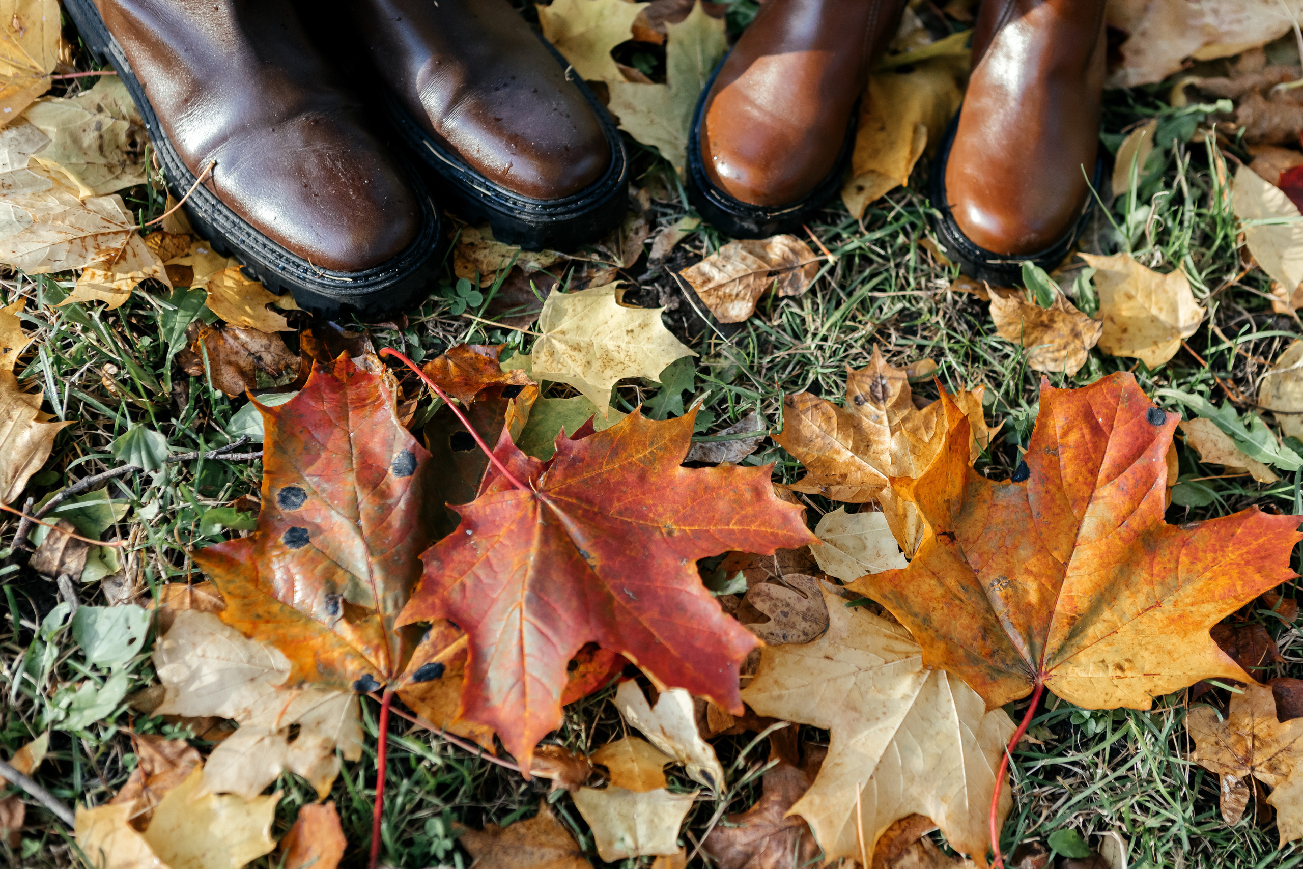 О & М. Семейный и свадебный фотограф в Петербурге Евгения и Николай Шевчук