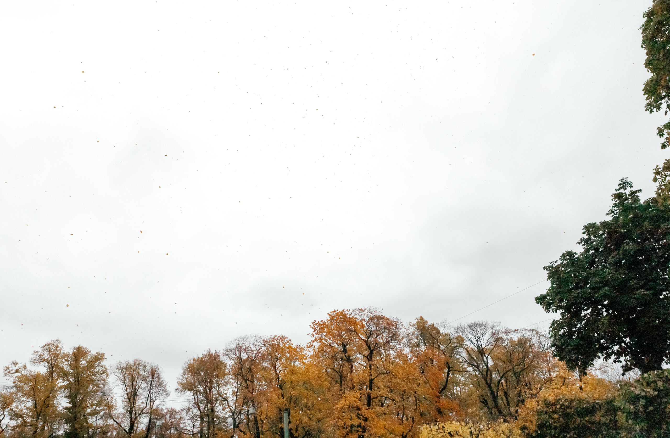 С & А. Семейный и свадебный фотограф в Петербурге Евгения и Николай Шевчук