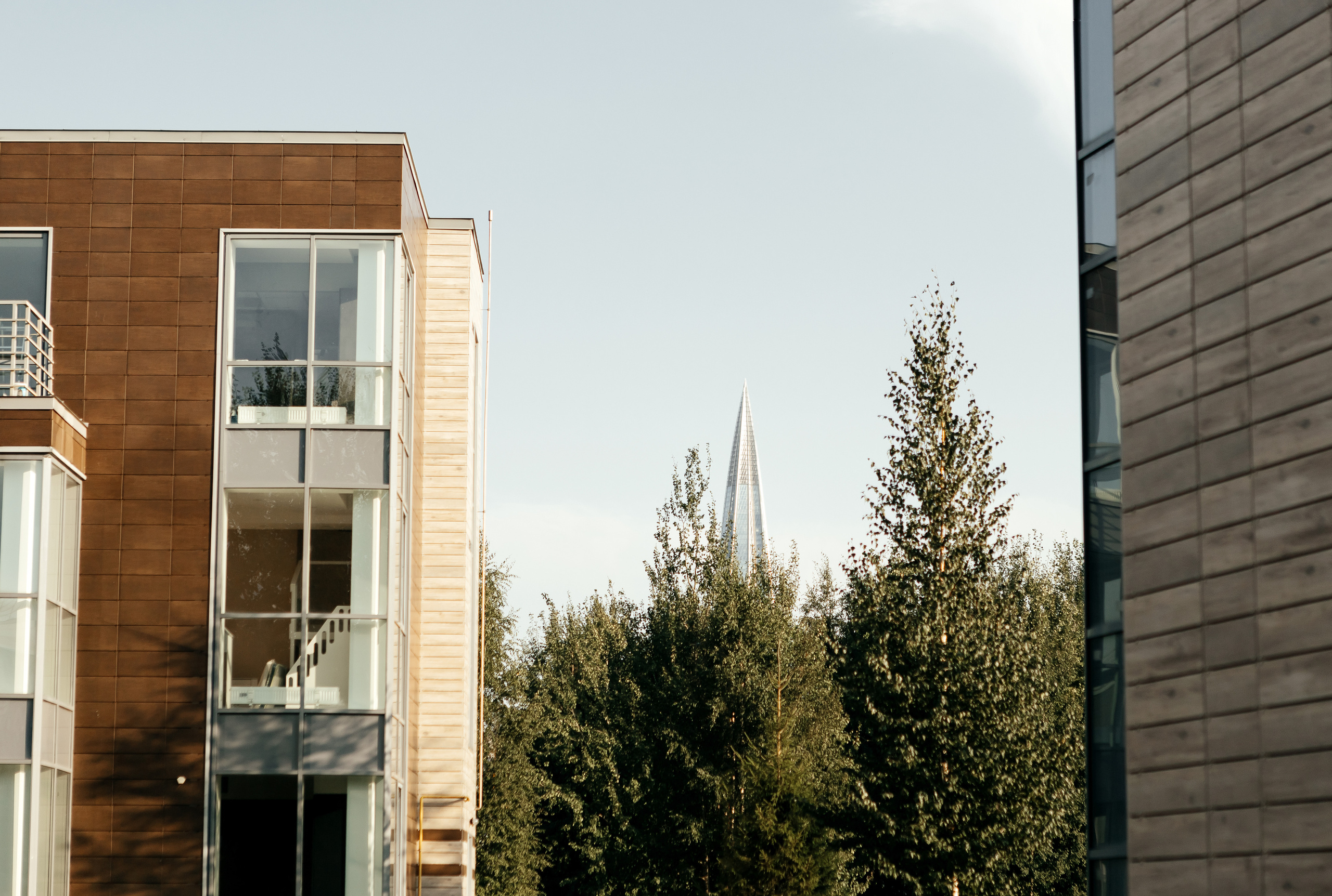 До свидания, лето!. Семейный и свадебный фотограф в Петербурге Евгения и Николай Шевчук