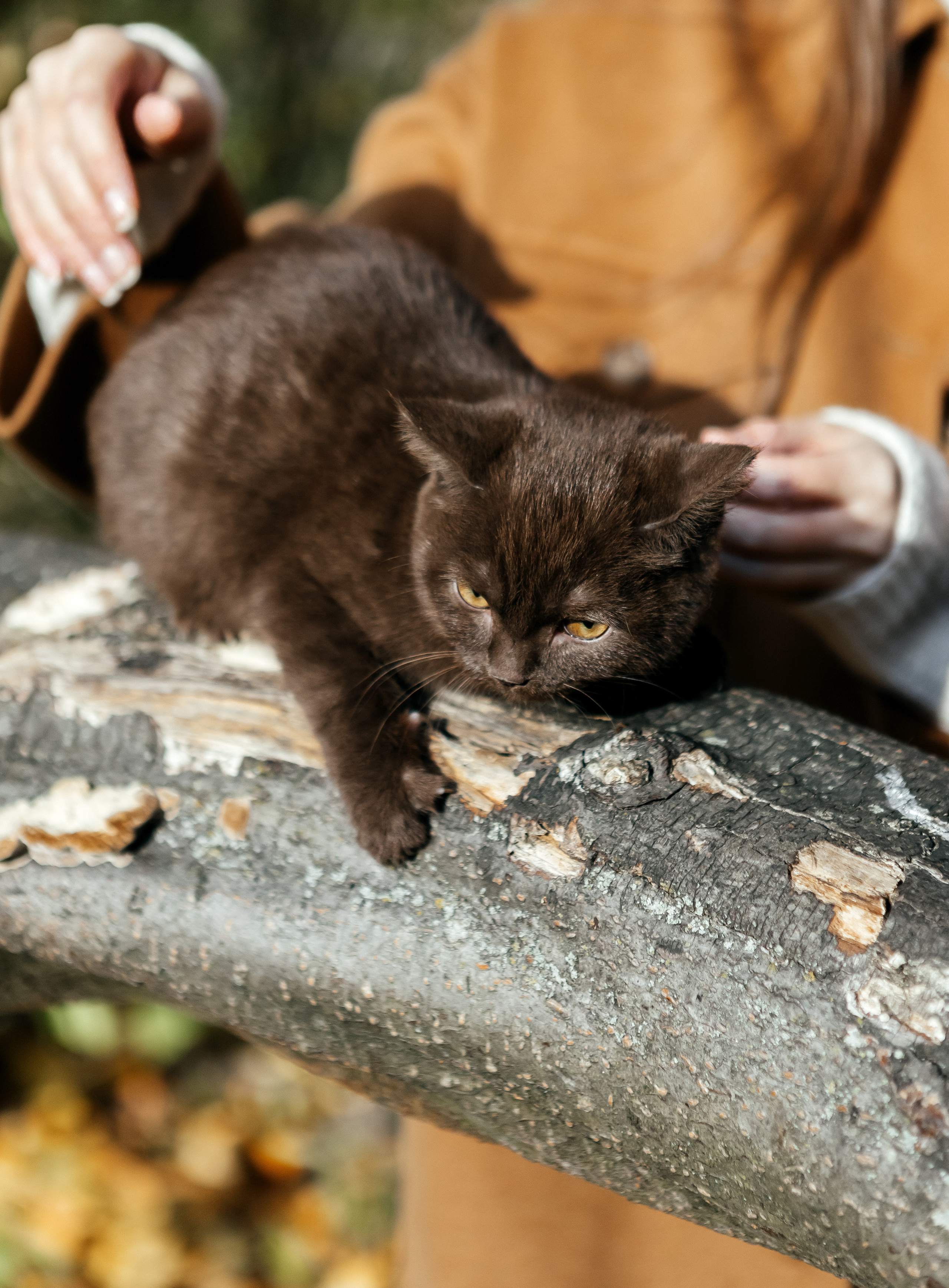О & М. Семейный и свадебный фотограф в Петербурге Евгения и Николай Шевчук