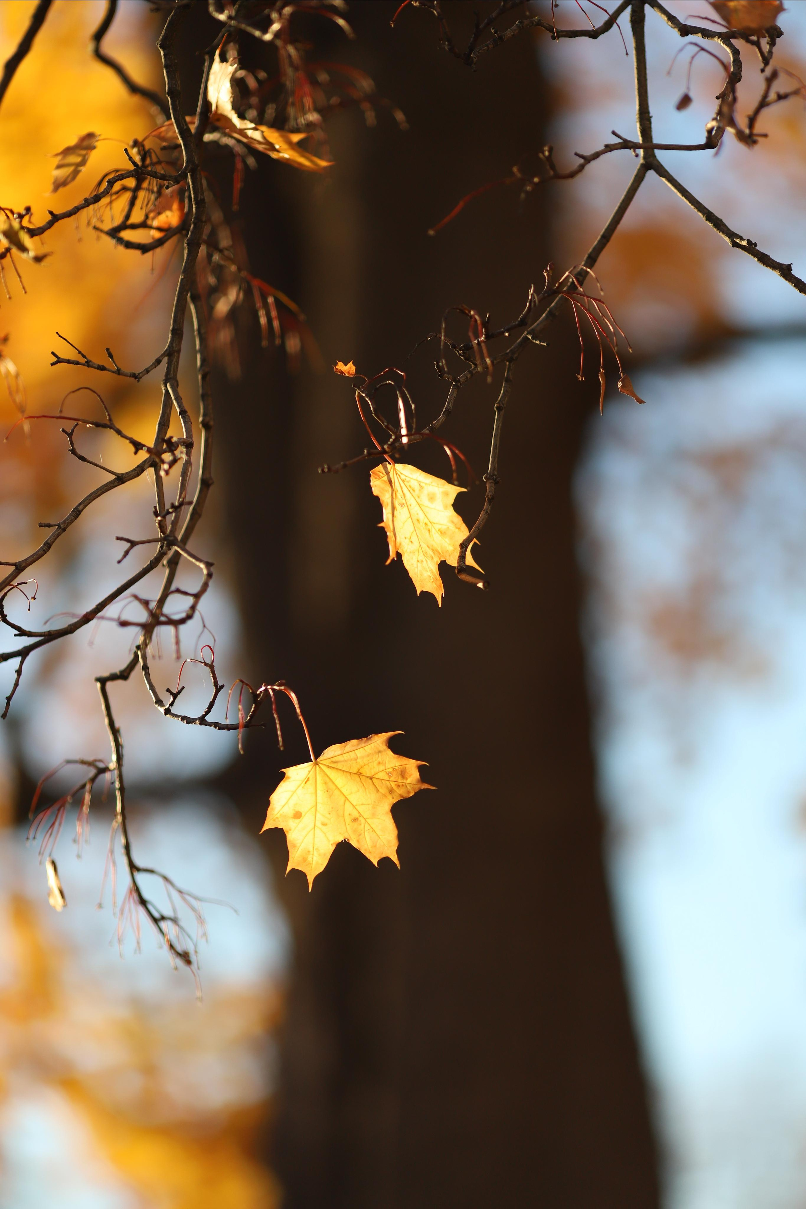 О & М. Семейный и свадебный фотограф в Петербурге Евгения и Николай Шевчук