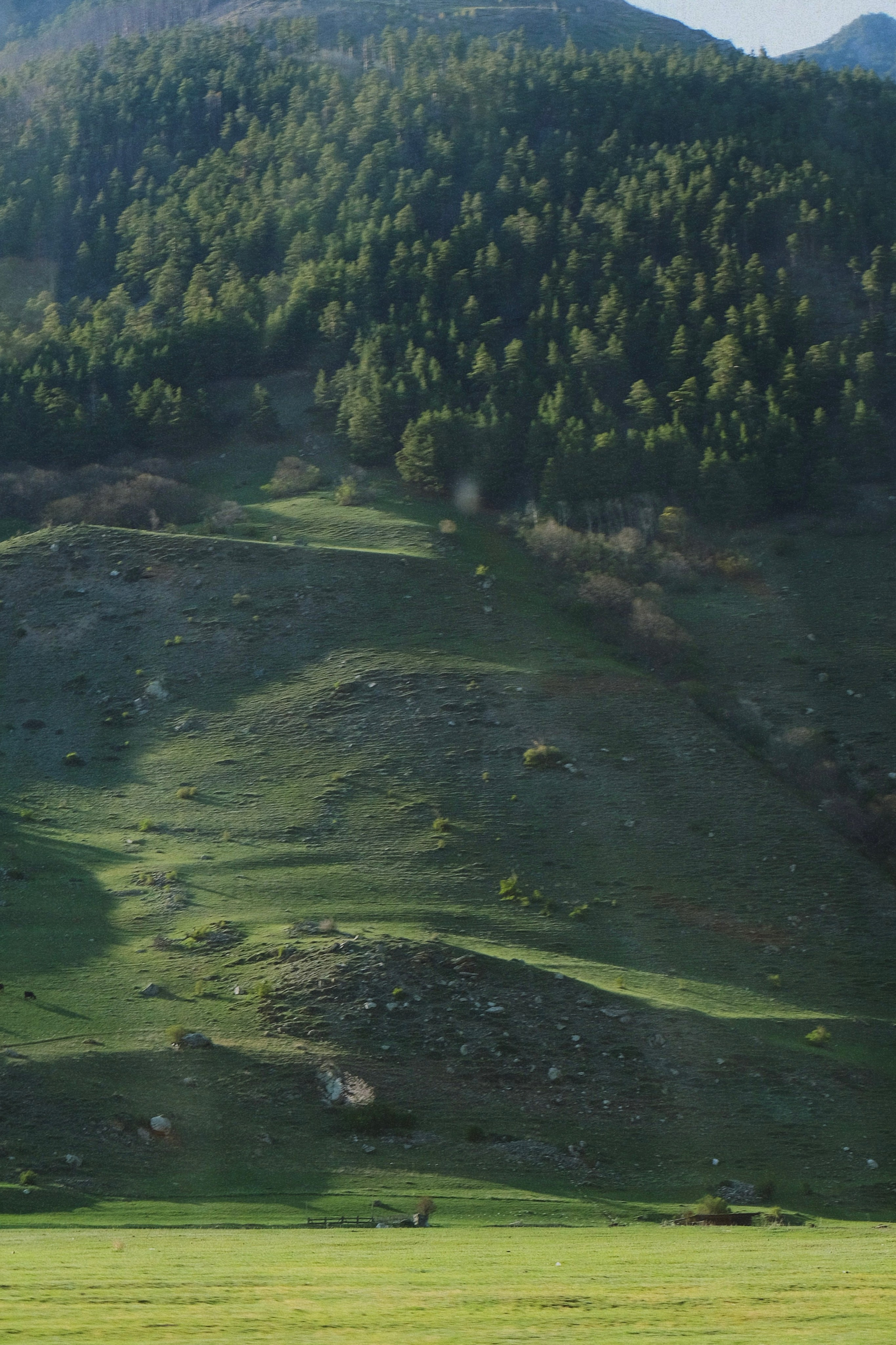 Кисловодск. Татьян гертье