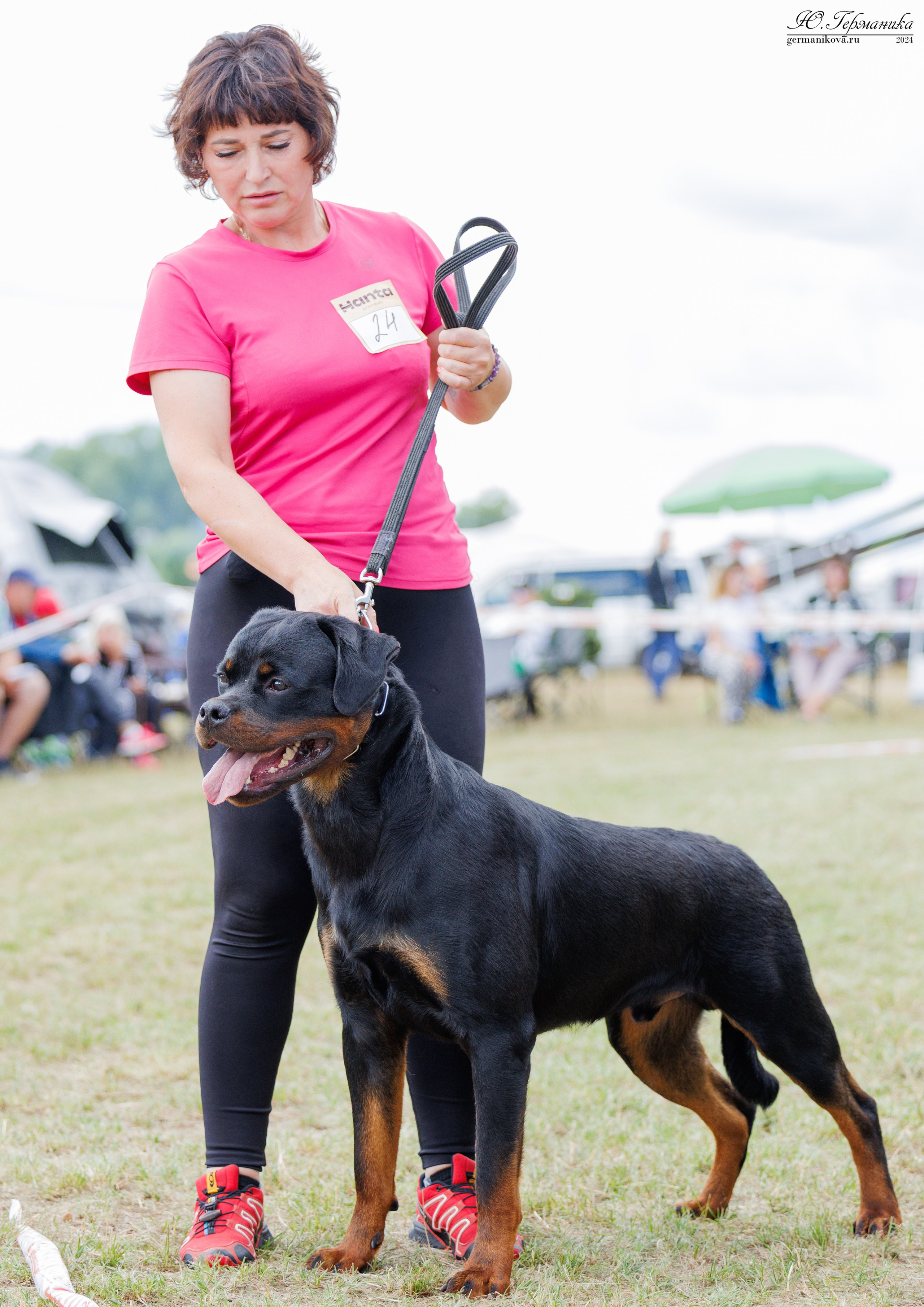 ПК и КЧК ротвейлеры Тверь 6-7.07.2024. Фотограф-анималист Юлия Германика