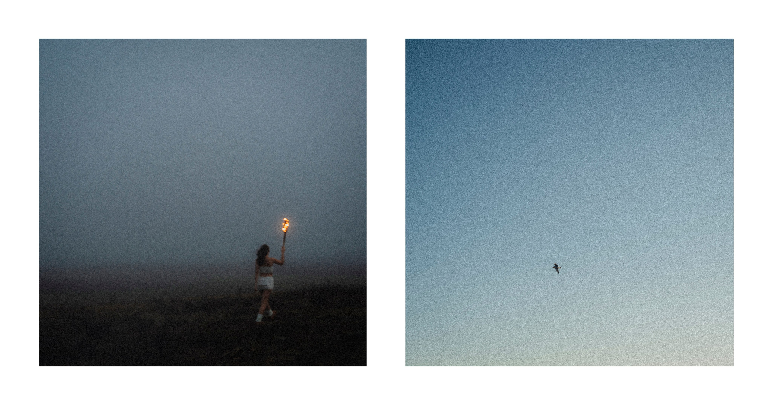 Interpretation. VISUAL ARTIST · KRONGAUZ ANASTASIA