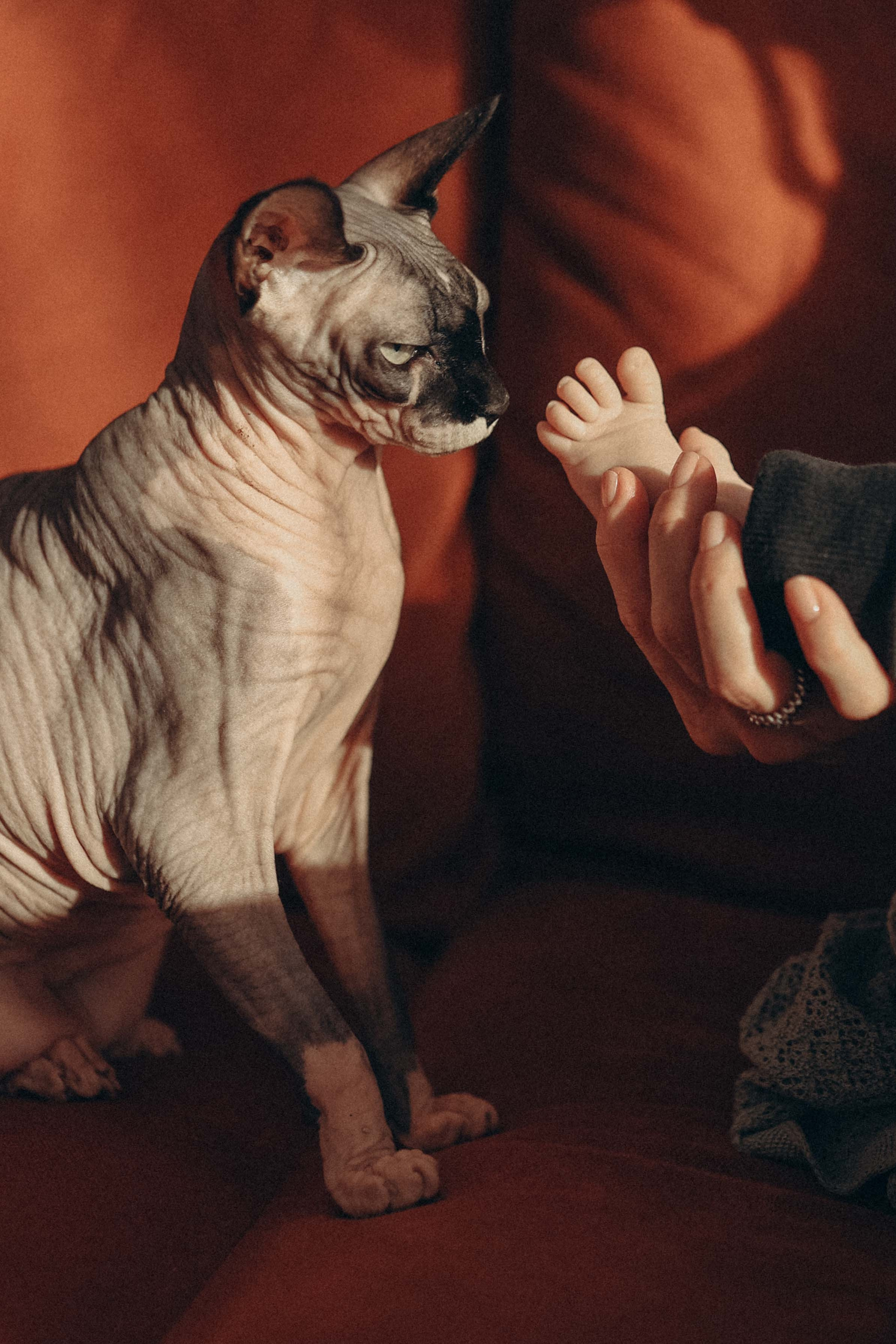 Малыш Филлип. Детский и семейный фотограф, съемка новорожденных Москва