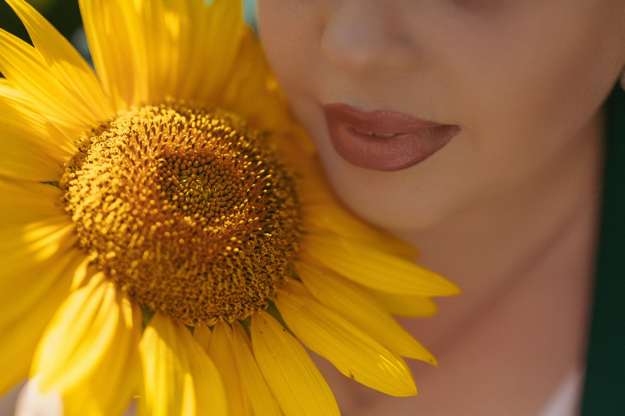 Подсолнухи. Фотограф в Нижнем Новгороде, Дзержинске Олеся Хозяева