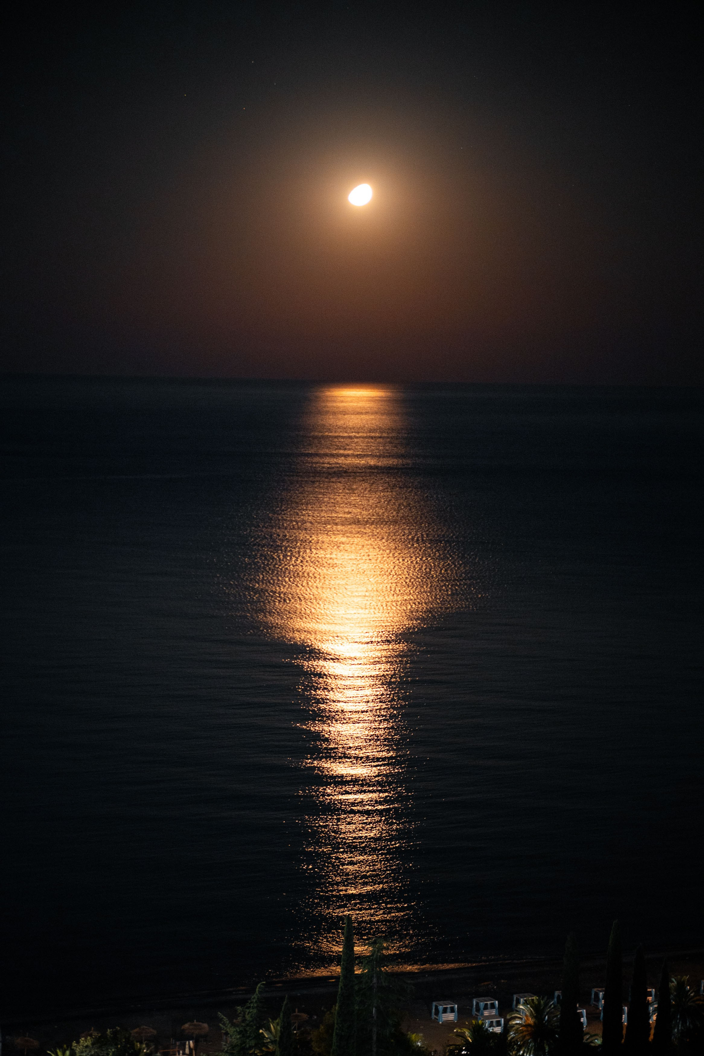 Абхазия 24. Vazovsky Photography