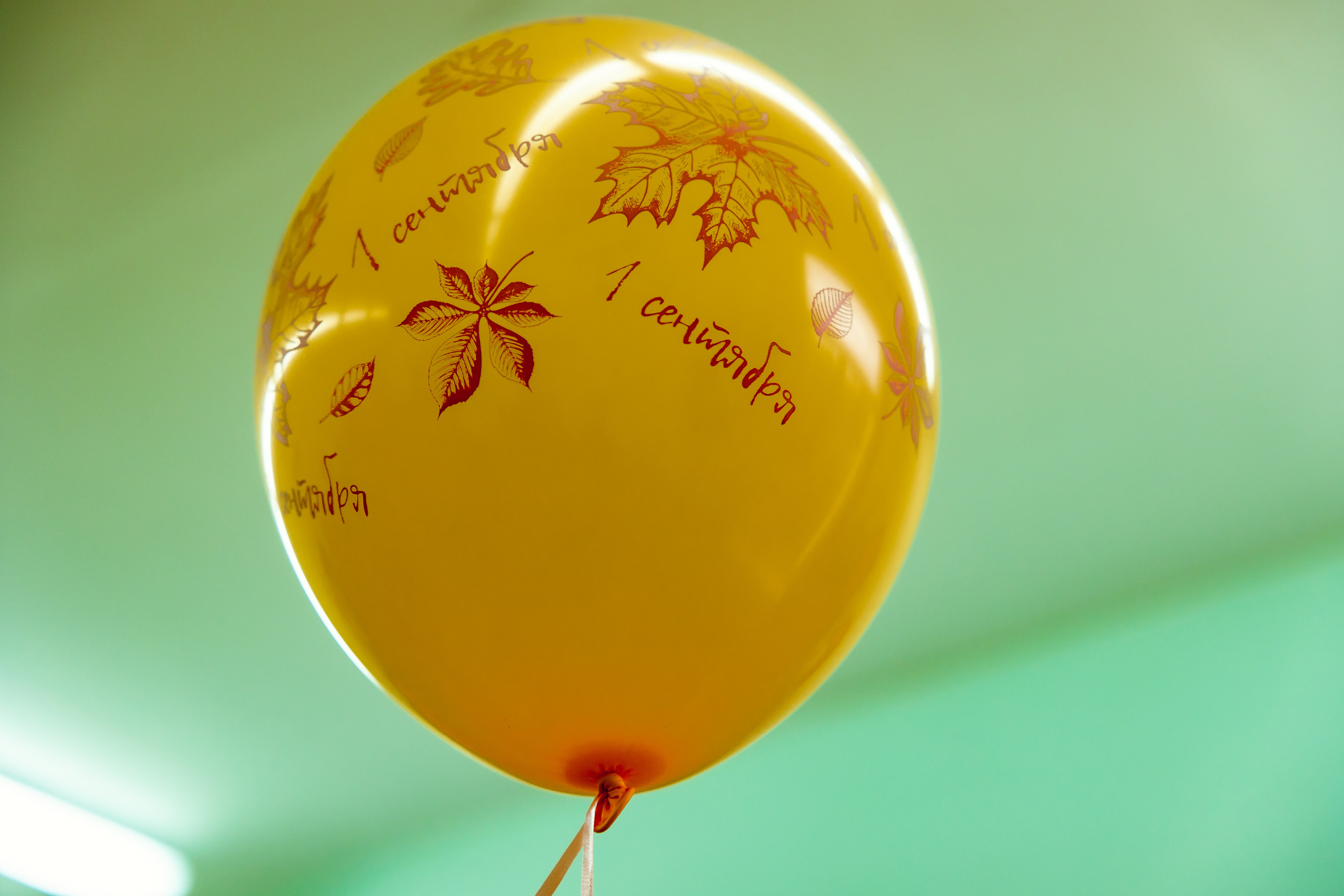 1 сентября. Дарья Бухреева — фотограф, видеограф и фототерапевт. Москва и мир