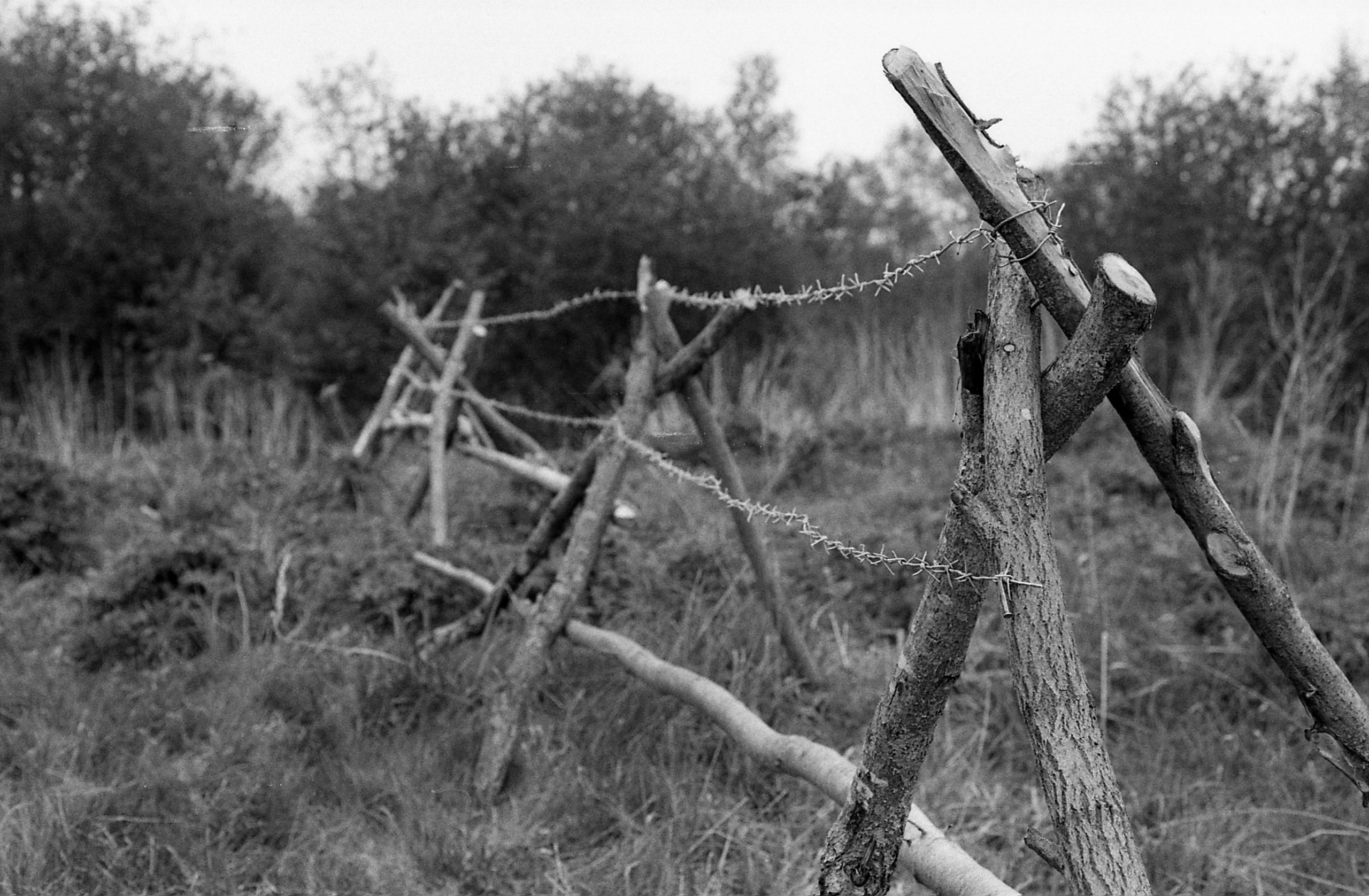 Вторая ударная армия. Sergei Zolotukhin