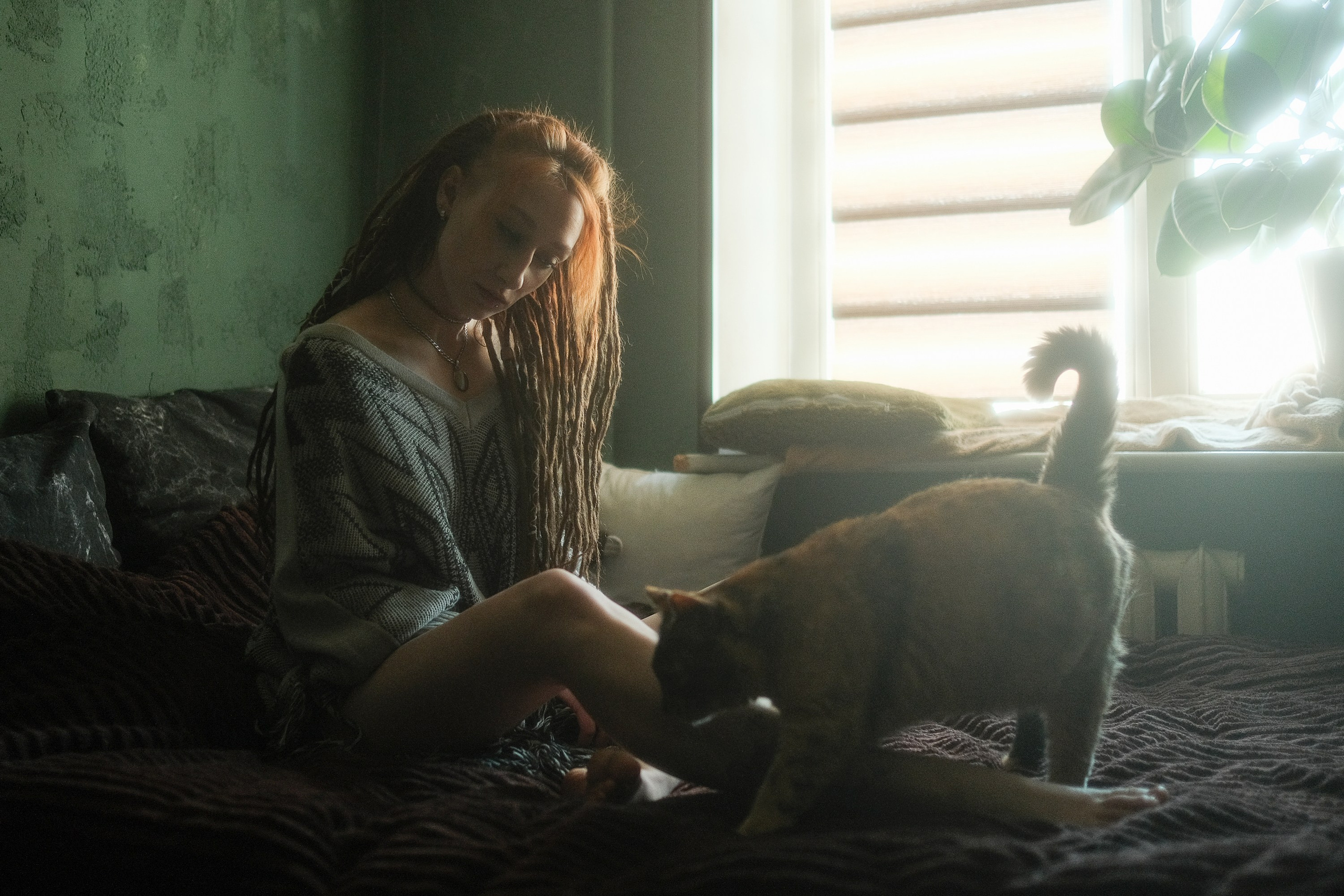 Smoky morning. Aleksandr Schafft