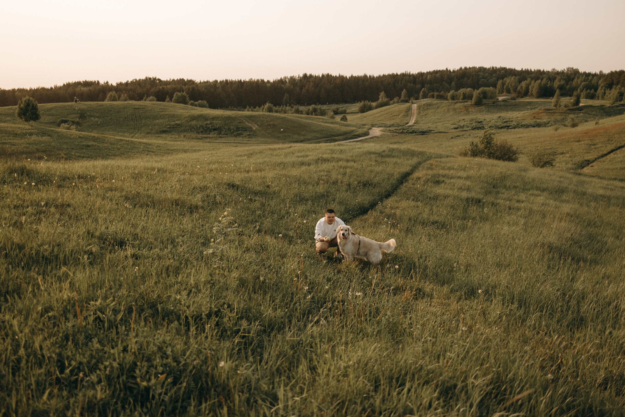 Милка и ребята. Фотограф — Анималист | Санкт-Петербург