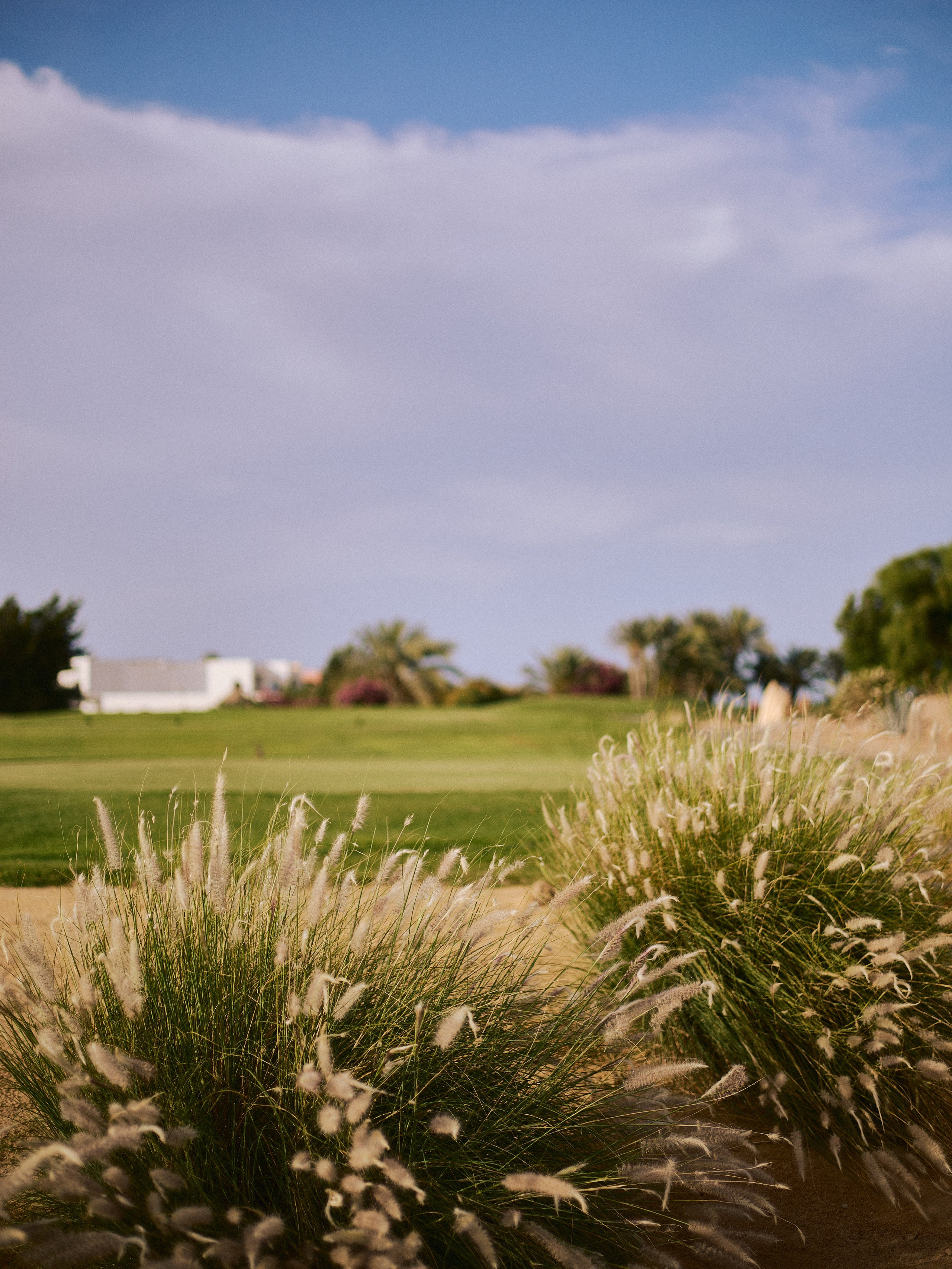 Другое 2. Jorgis Talè — photographer, kind person, teacher of arts and other mag