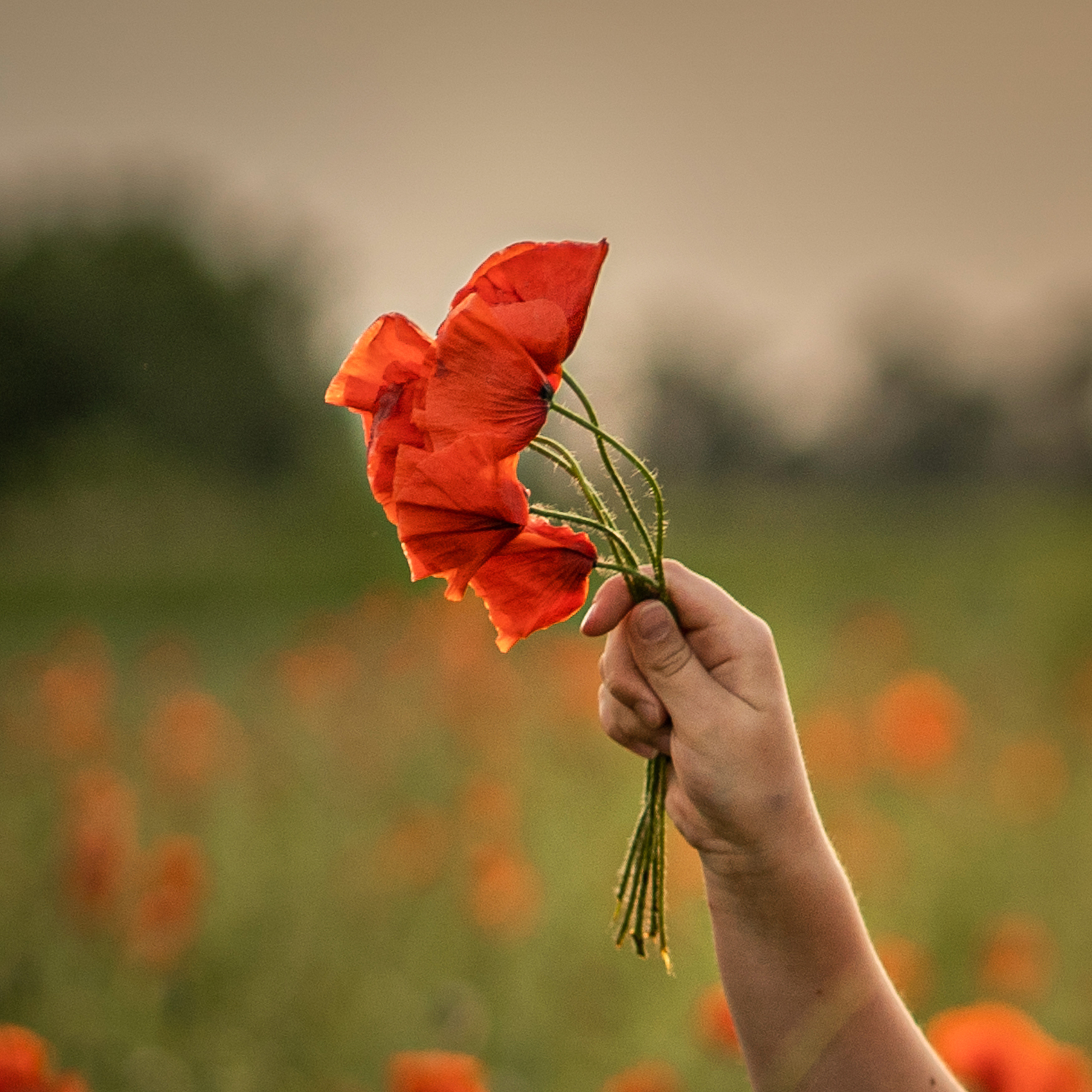 . Детский и семейный фотограф в городе Краснодар Надежда Ермак