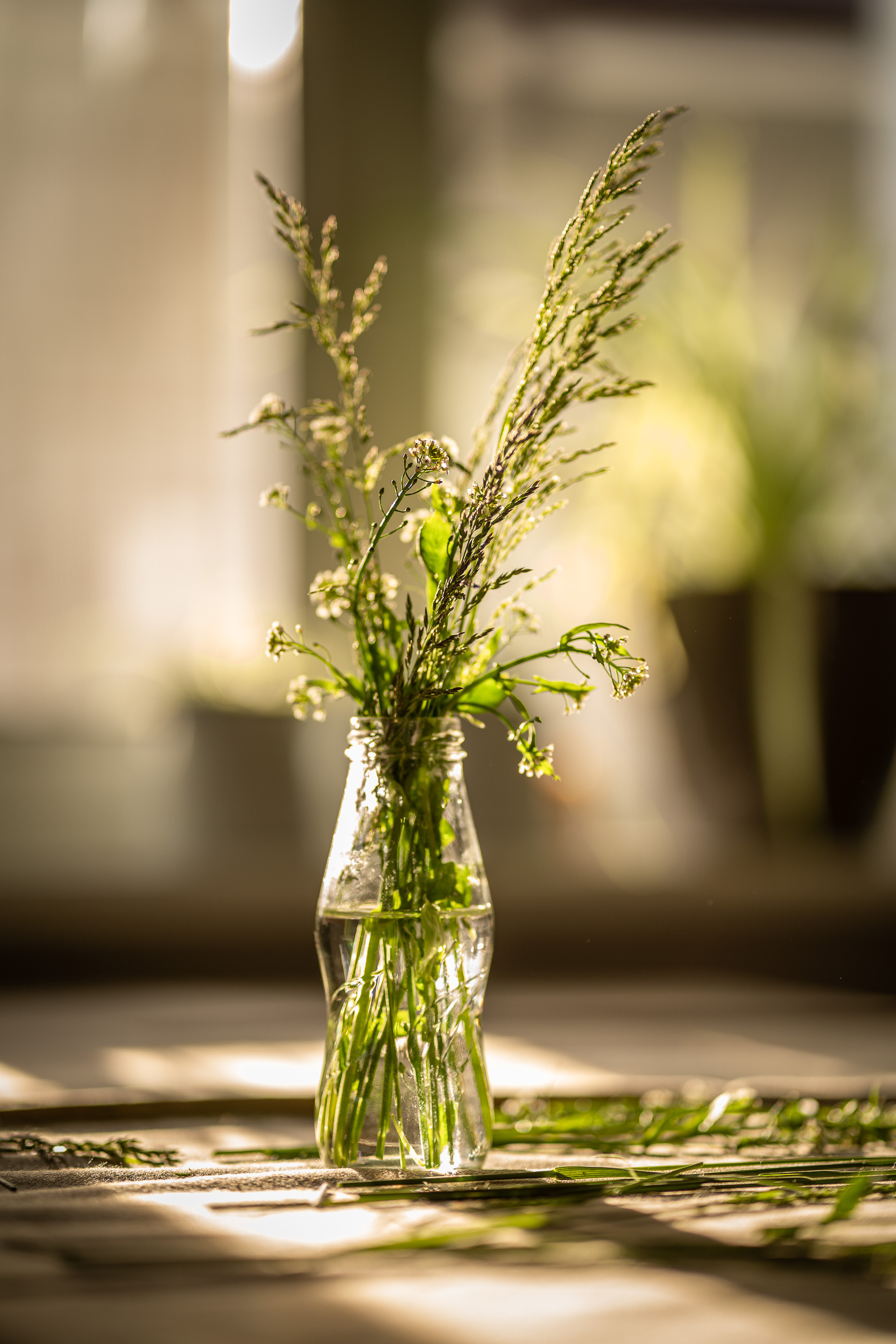 . Детский и семейный фотограф в городе Краснодар Надежда Ермак