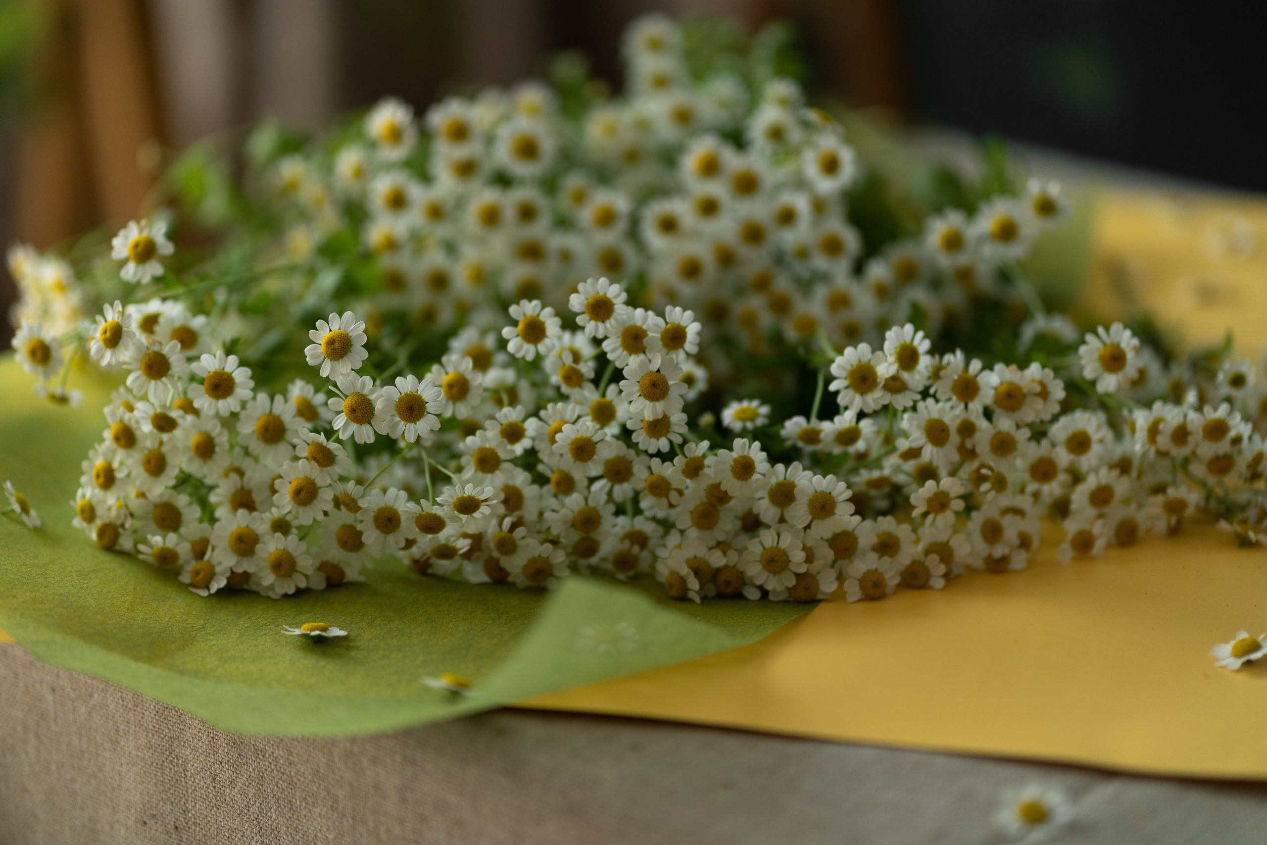 . Детский и семейный фотограф в городе Краснодар Надежда Ермак