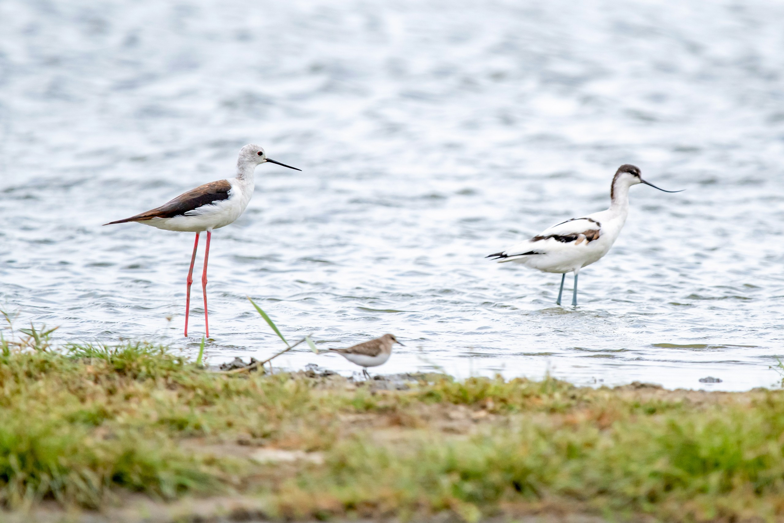 Природа Дагестана, сентябрь 2024. Foto-Zuev фотография как искусство